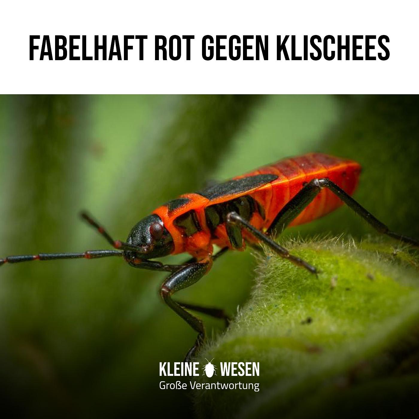 Podcast: E10: Fabelhaft rot gegen Klischees