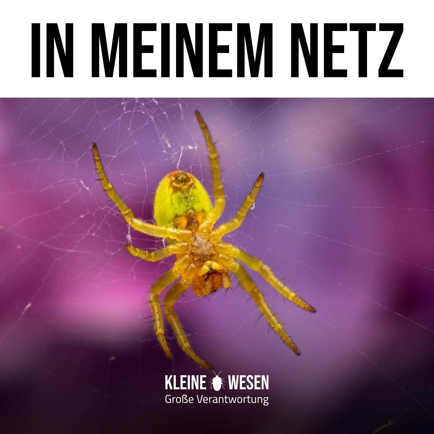 Podcast: E11: In einem Netz