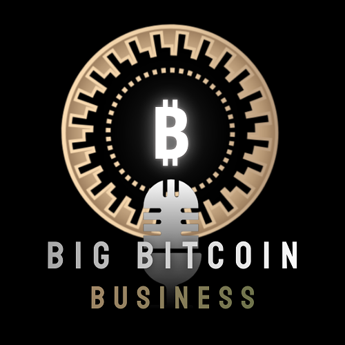 Bitcoin im Bärenmarkt