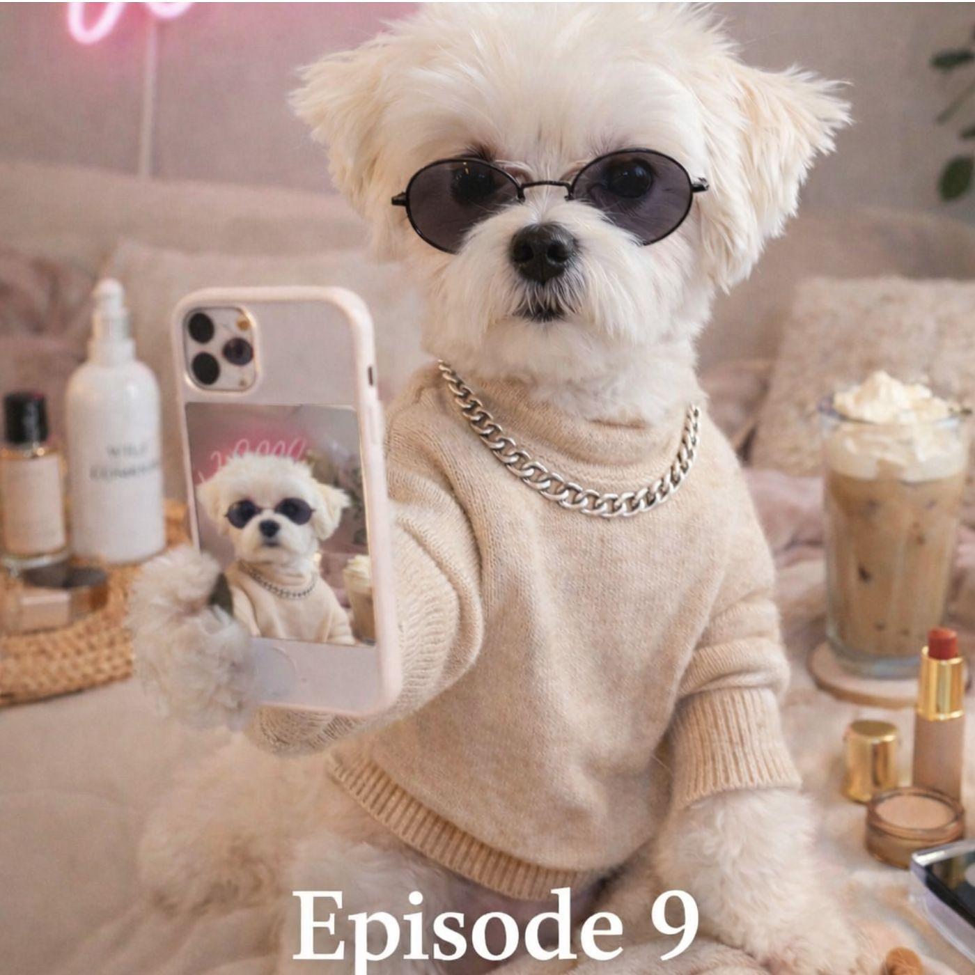 Holli & Willi - Der Pfotentalk episode artwork