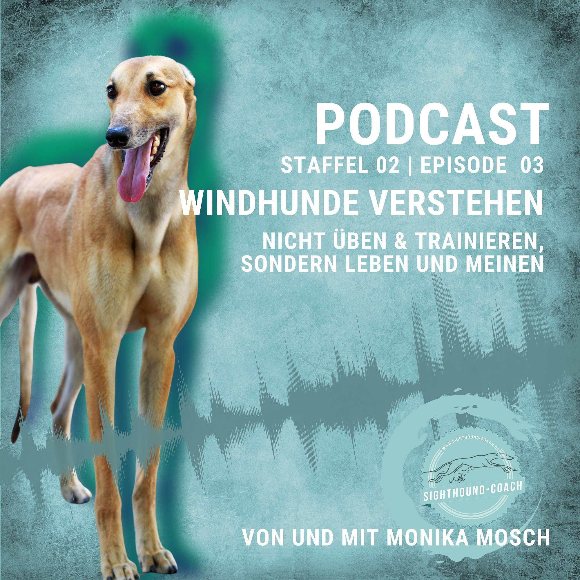"Windhunde verstehen": Nicht üben & trainieren, sondern leben und meinen. episode artwork