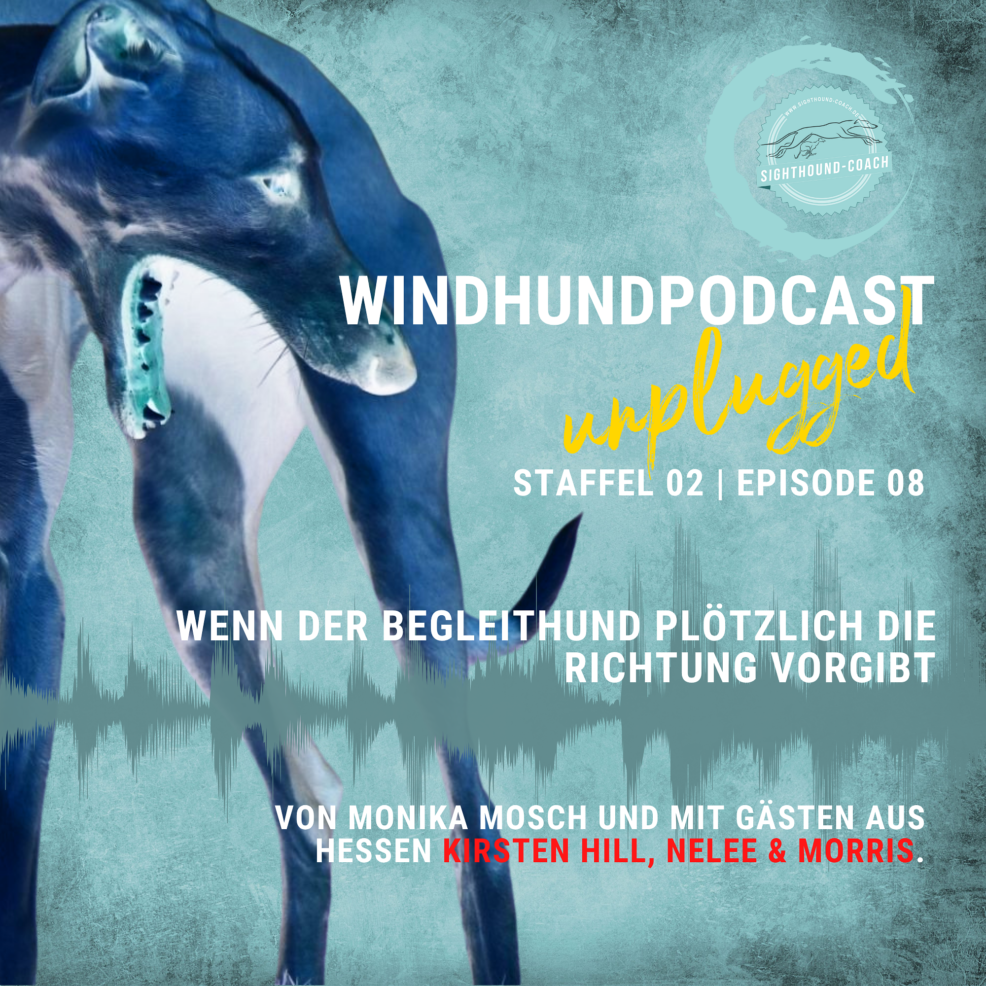 Windhunde verstehen - Wenn der Begleithund plötzlich die Richtung vorgibt - unplugged episode artwork
