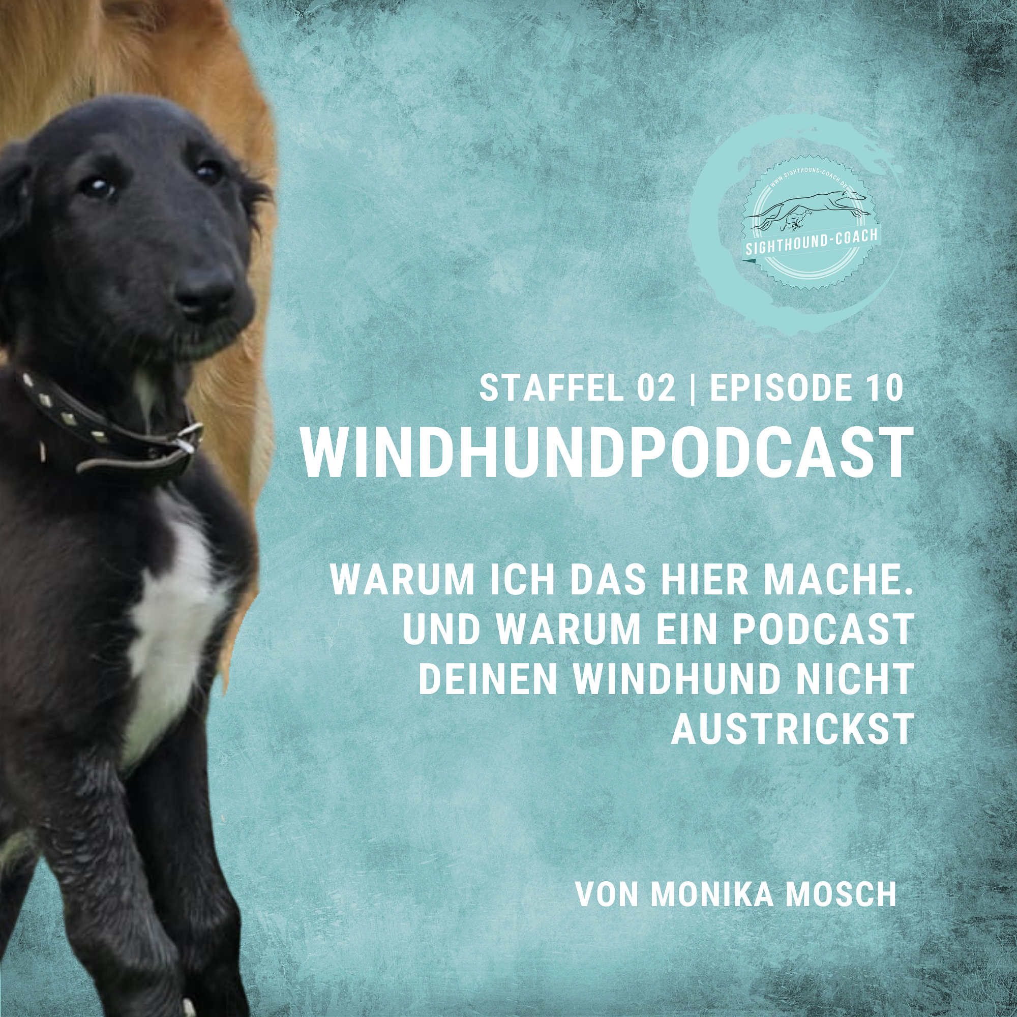 Warum ich das hier mache. Und warum ein Podcast Deinen Windhund nicht austrickst. episode artwork