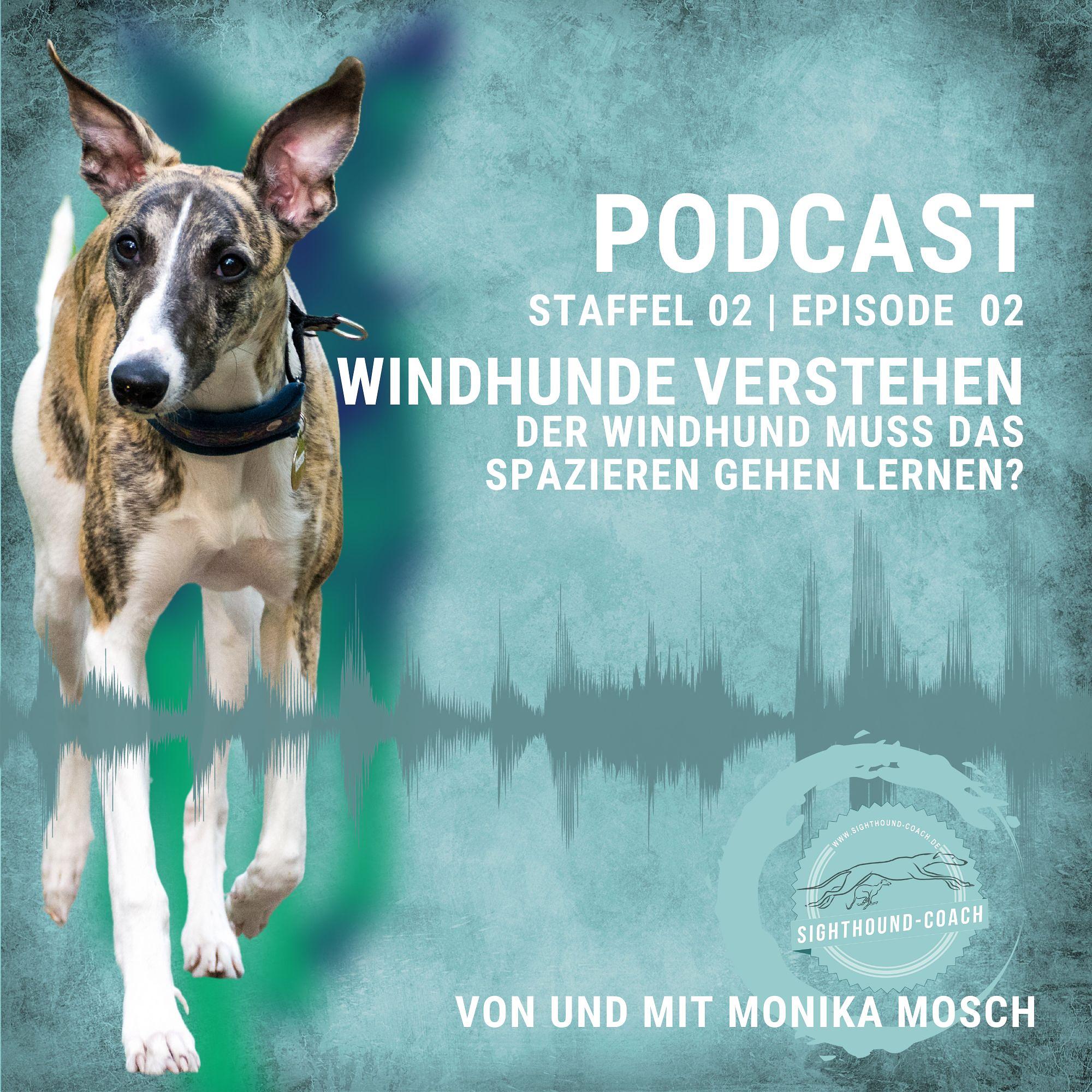 Der Windhund muss lernen Spazieren zu gehen? episode artwork