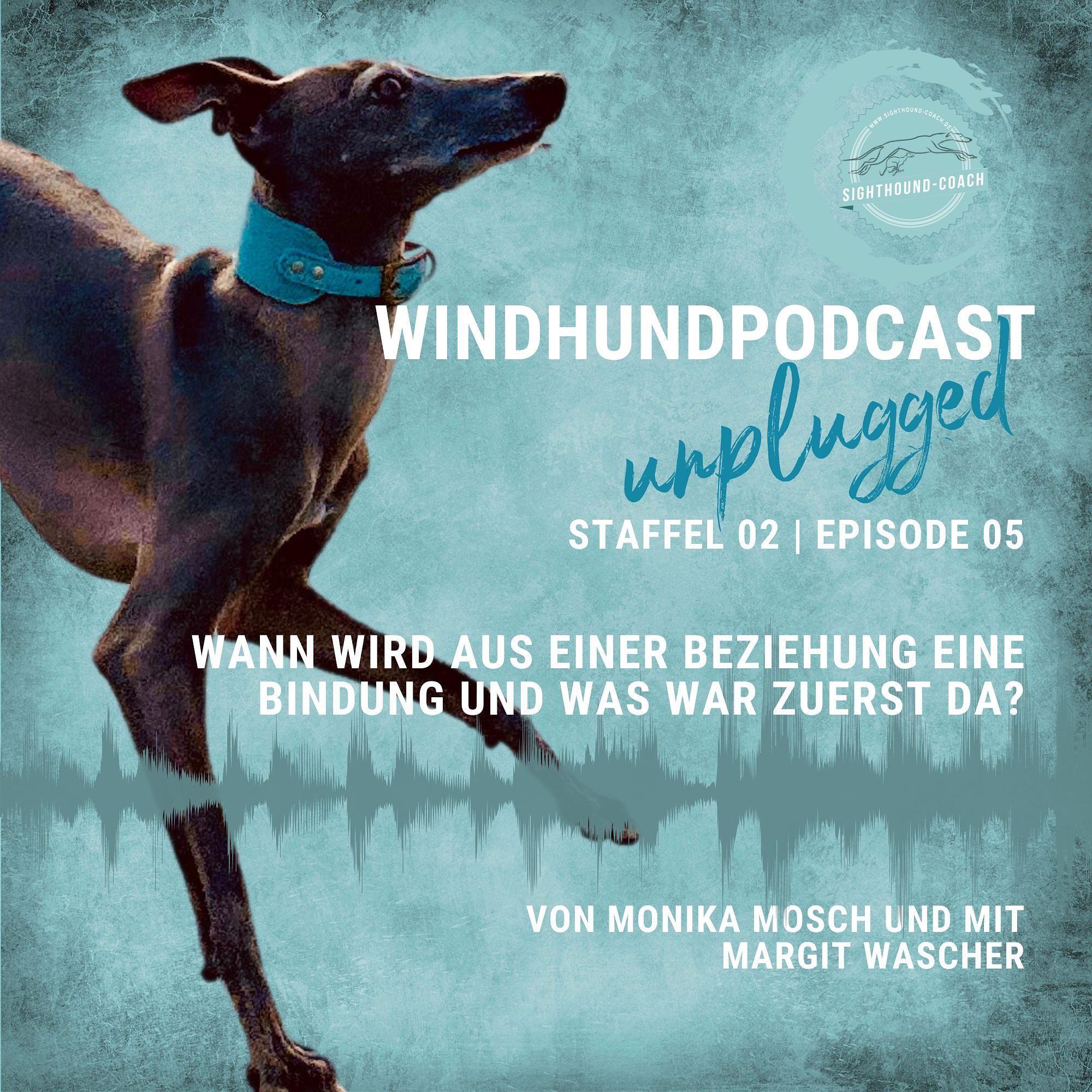 Windhunde verstehen. Beziehung oder Bindung – was war zuerst da? episode artwork