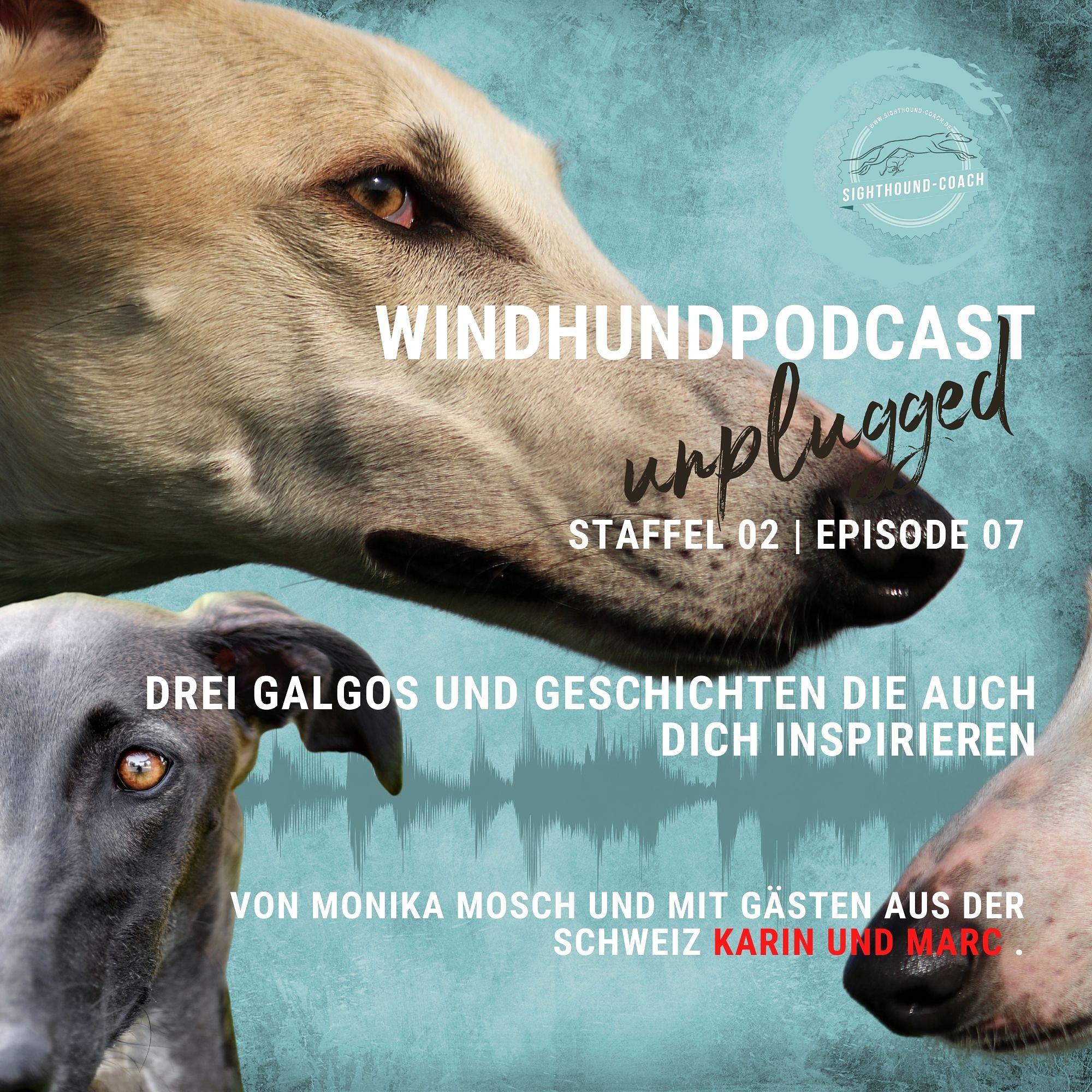 Windhunde verstehen - Vertrauen und Zweifel - unplugged episode artwork