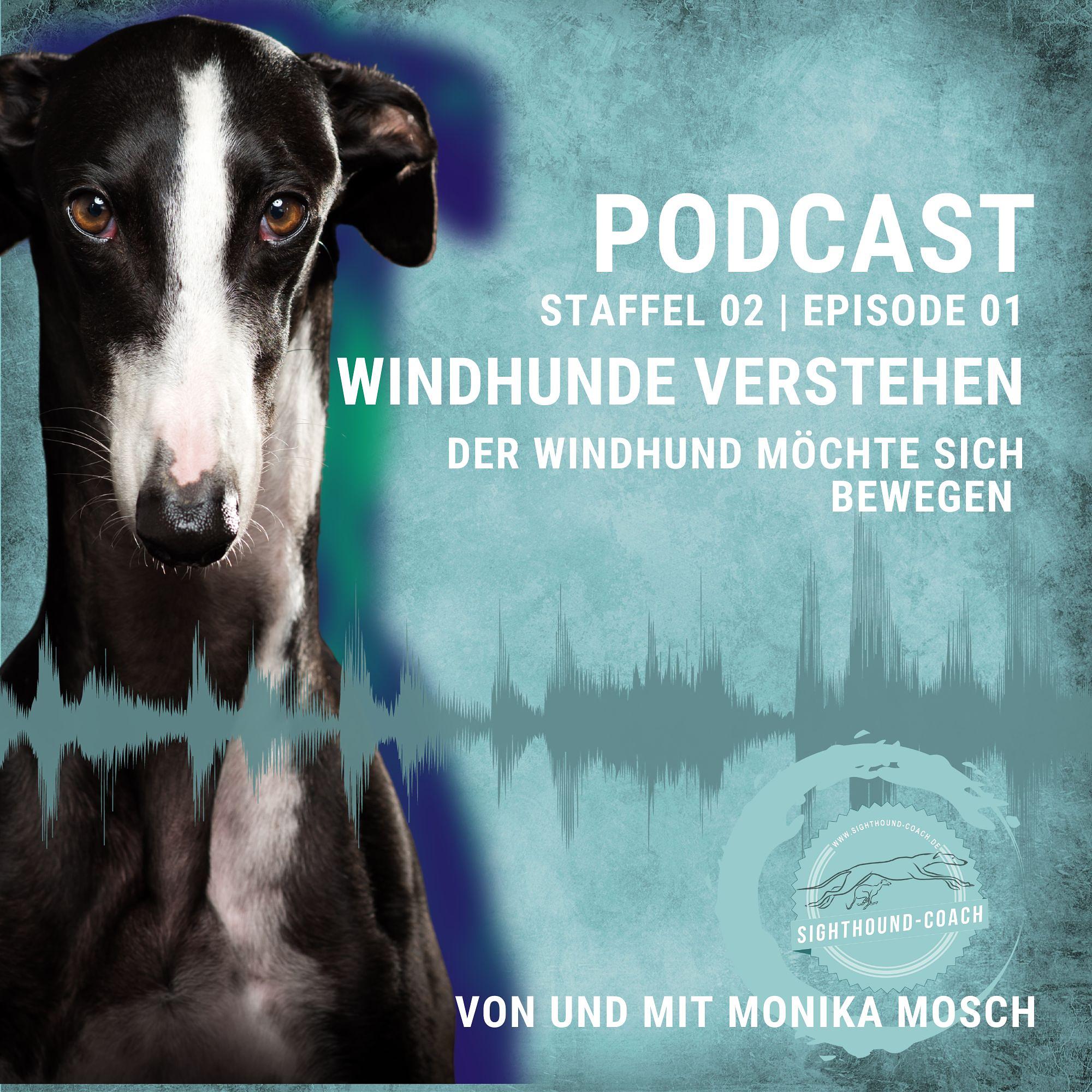 Windhunde verstehen - Der Windhund möchte sich bewegen. episode artwork