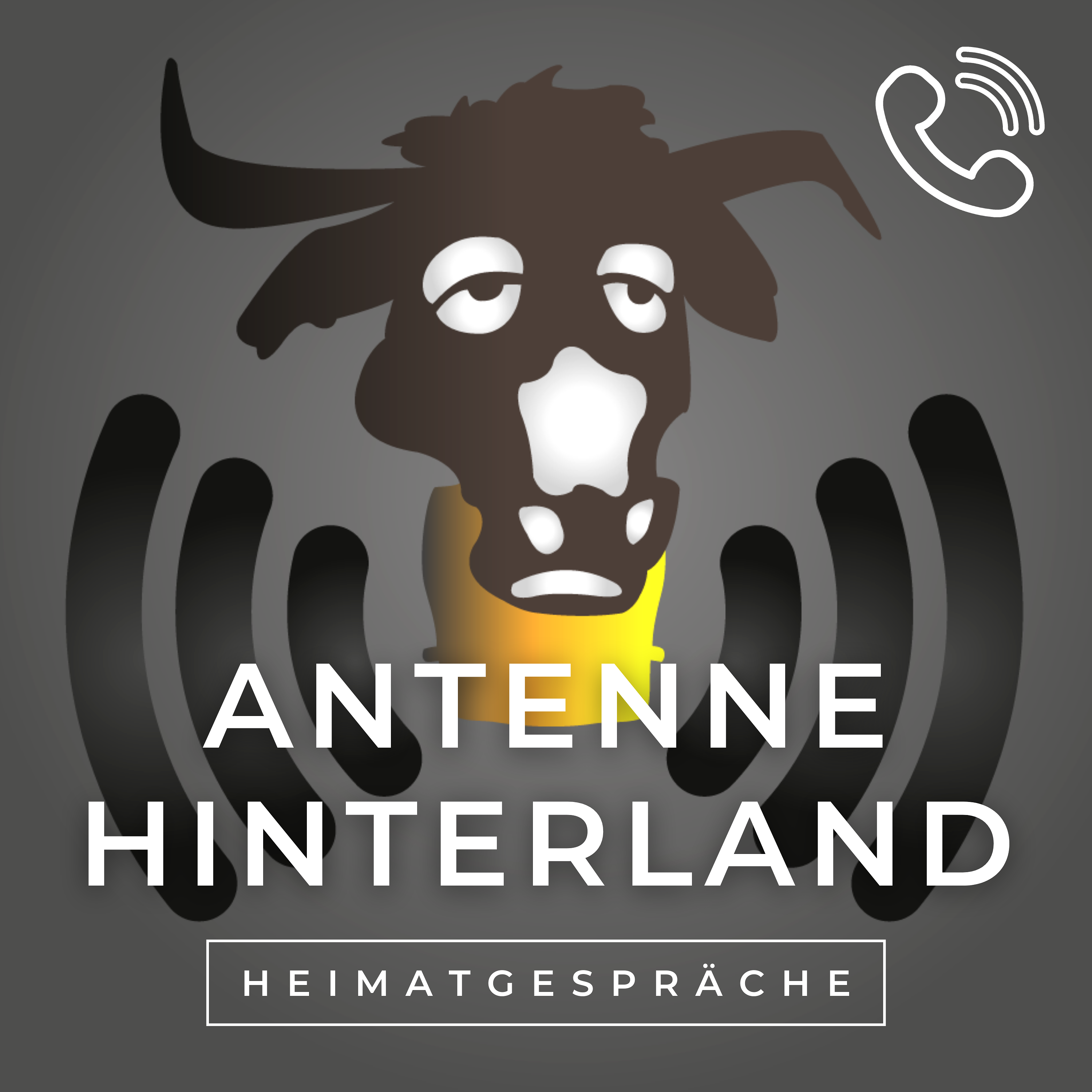 Antenne Hinterland.