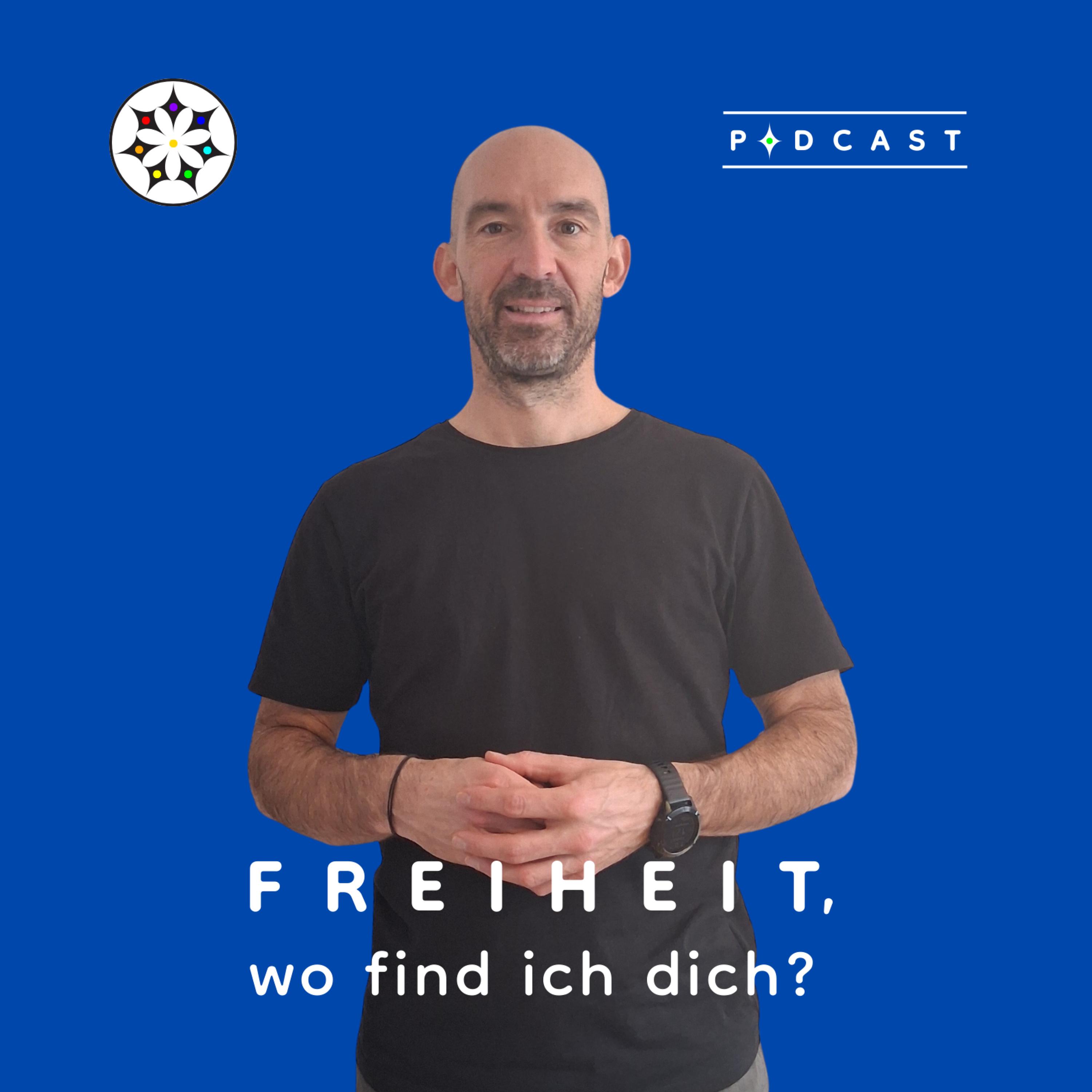 Freiheit, wo find ich dich? cover