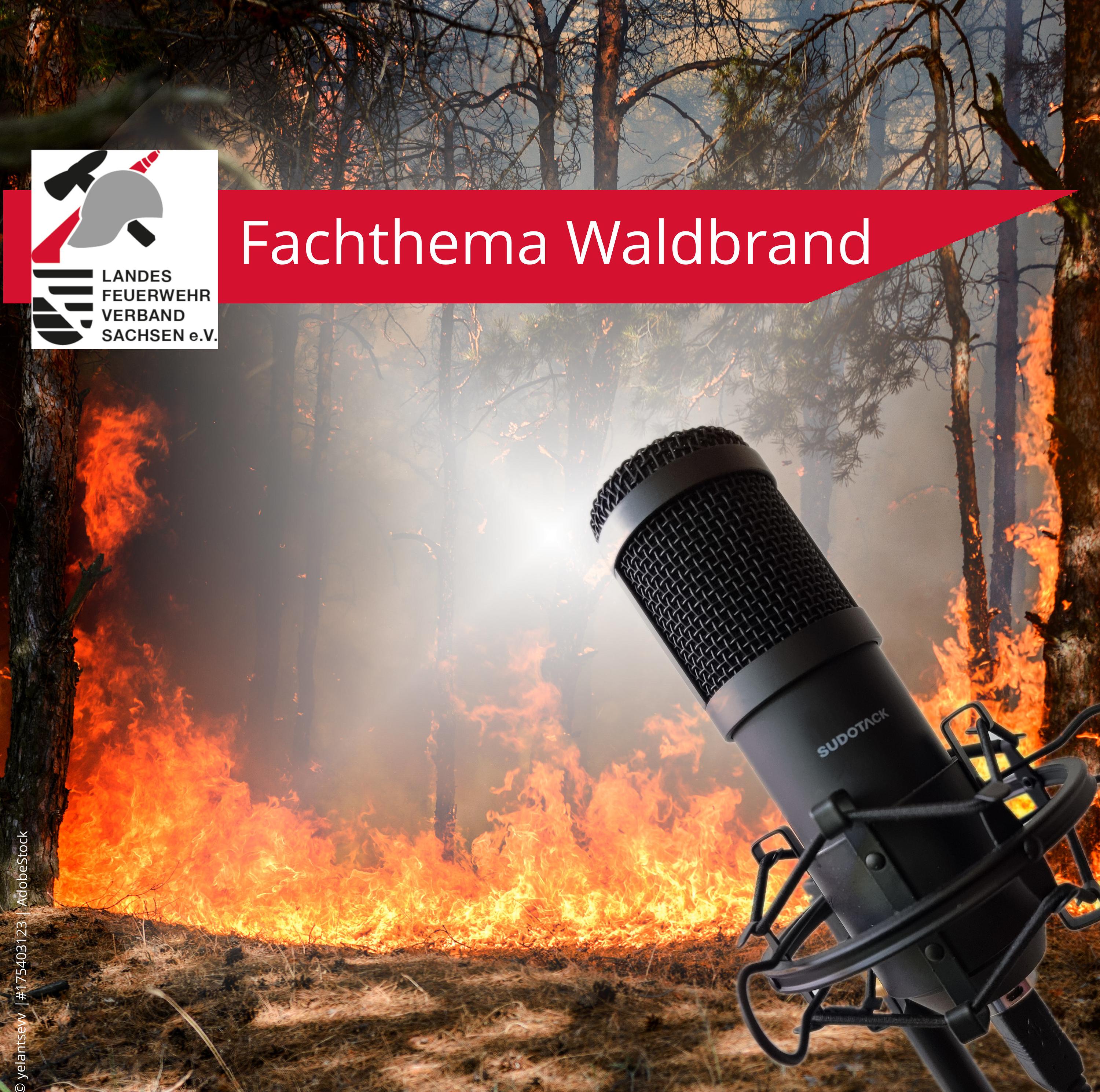 112% für Sachsen