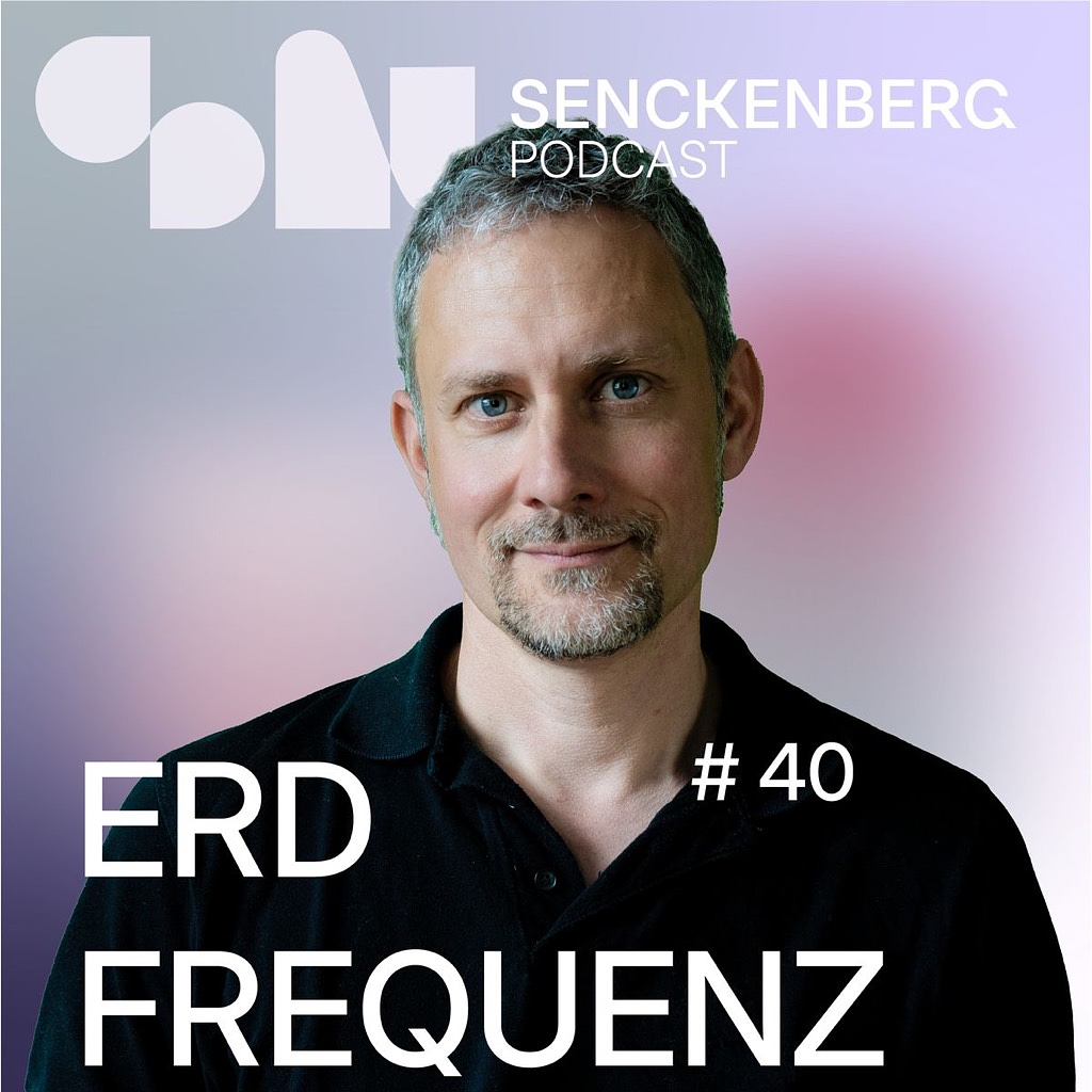 Erdfrequenz