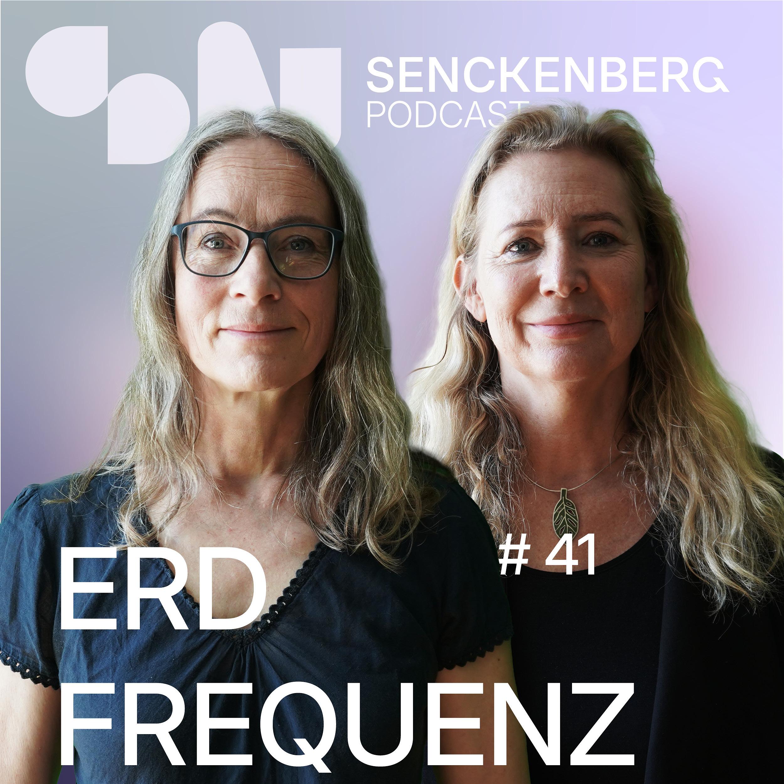 Erdfrequenz
