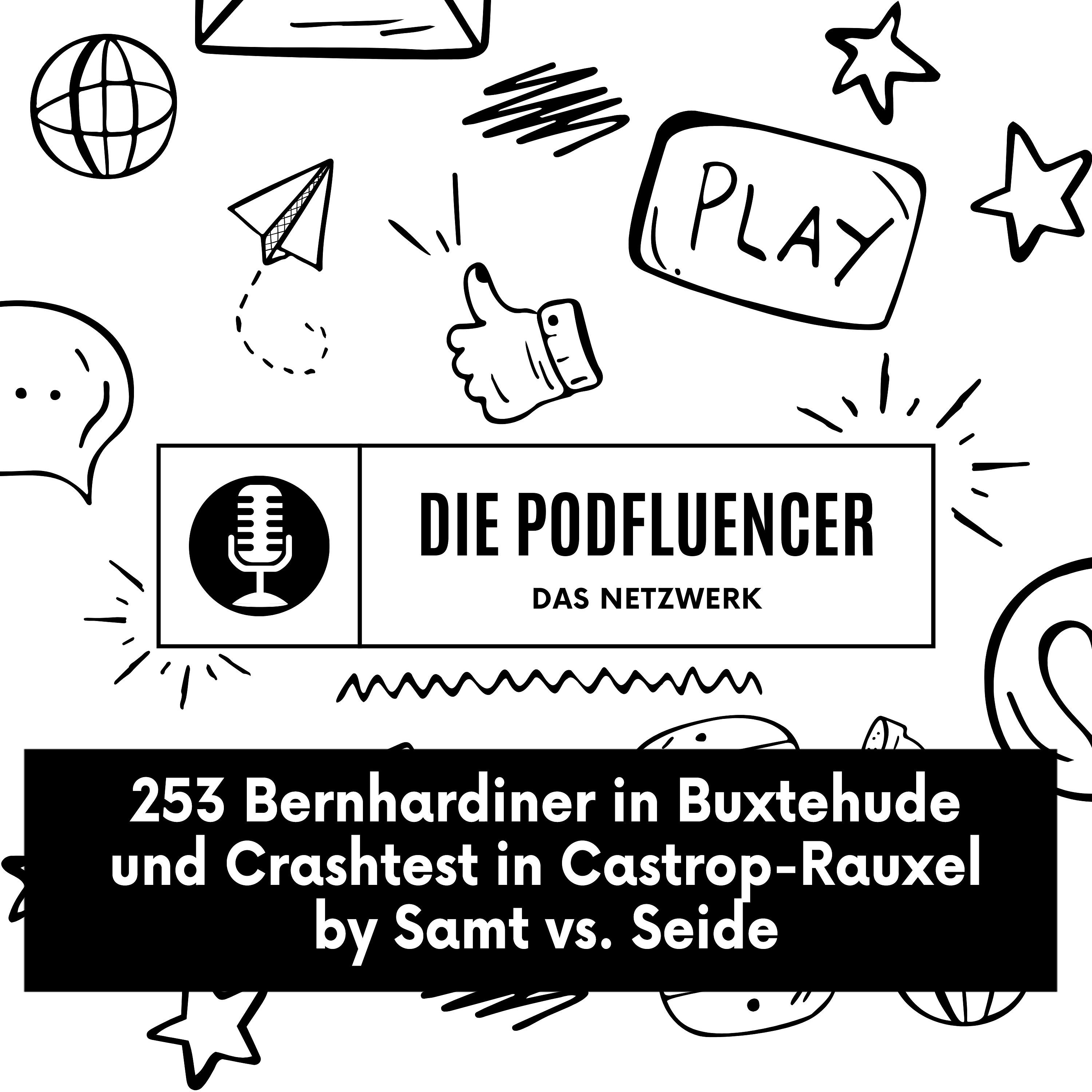 253 Bernhardiner in Buxtehude und Crashtest in Castrop-Rauxel by Samt und Seide episode artwork
