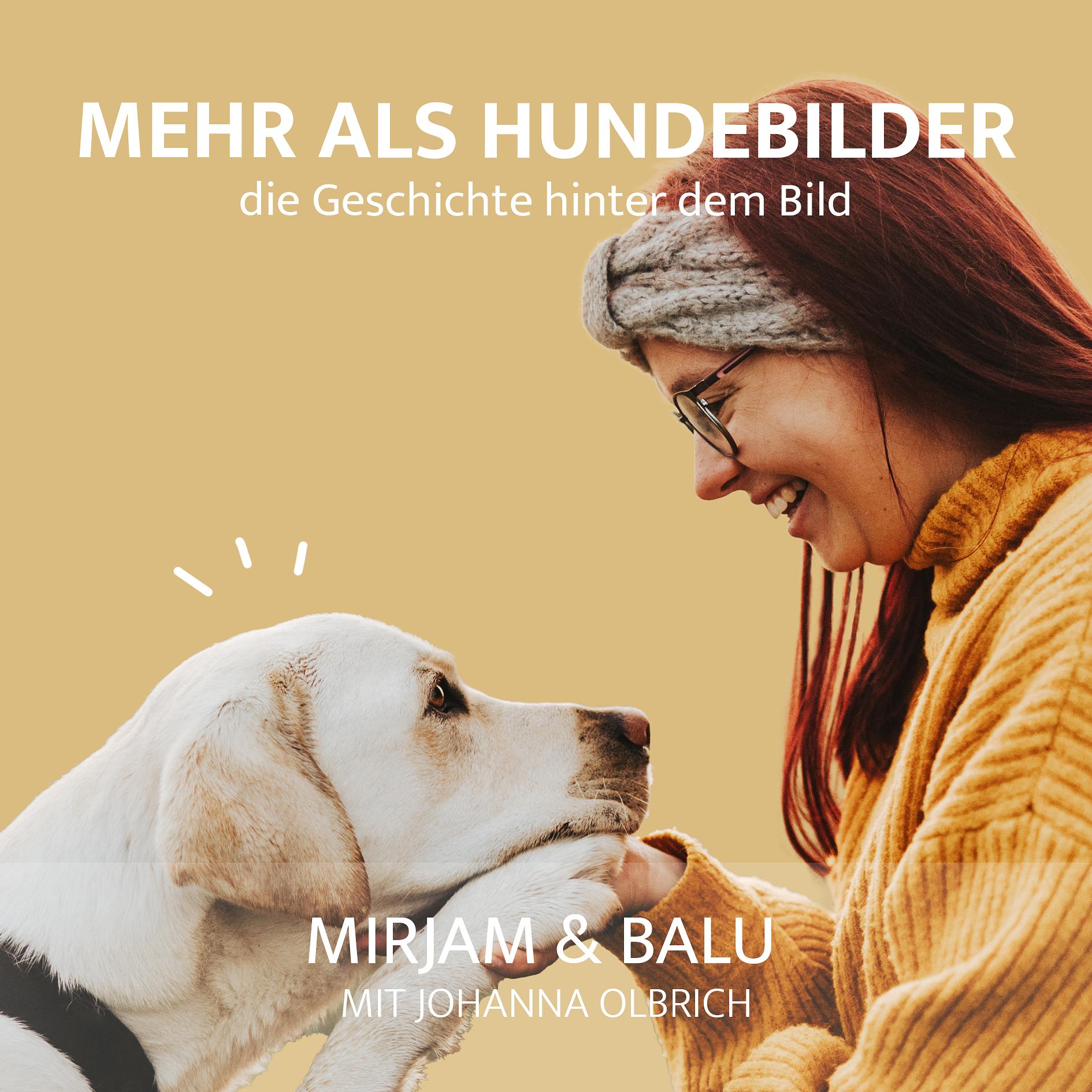 Mehr als Hundebilder - die Geschichte hinter dem Bild