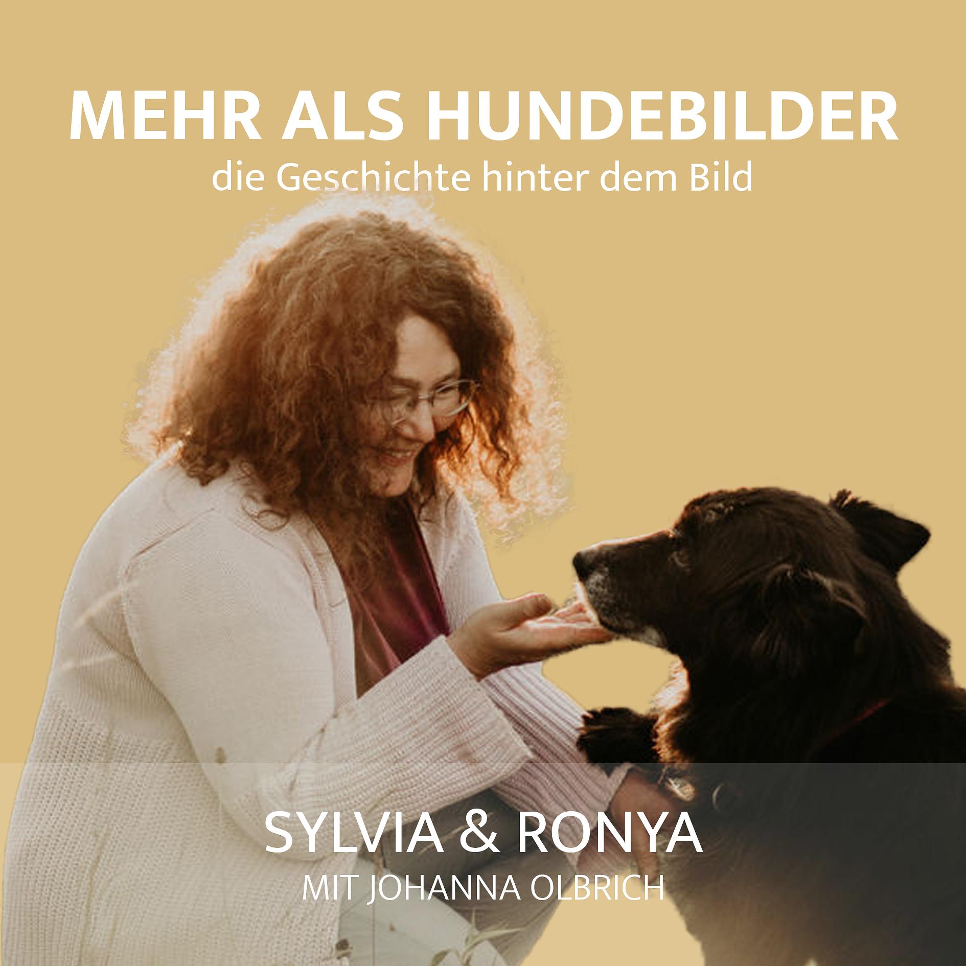 Mehr als Hundebilder - die Geschichte hinter dem Bild