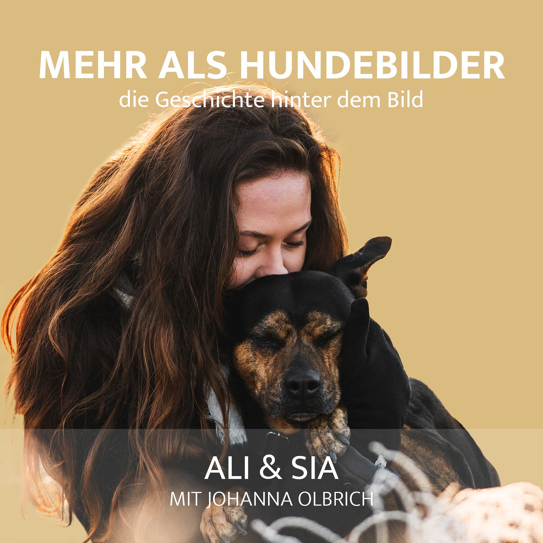 Mehr als Hundebilder - die Geschichte hinter dem Bild
