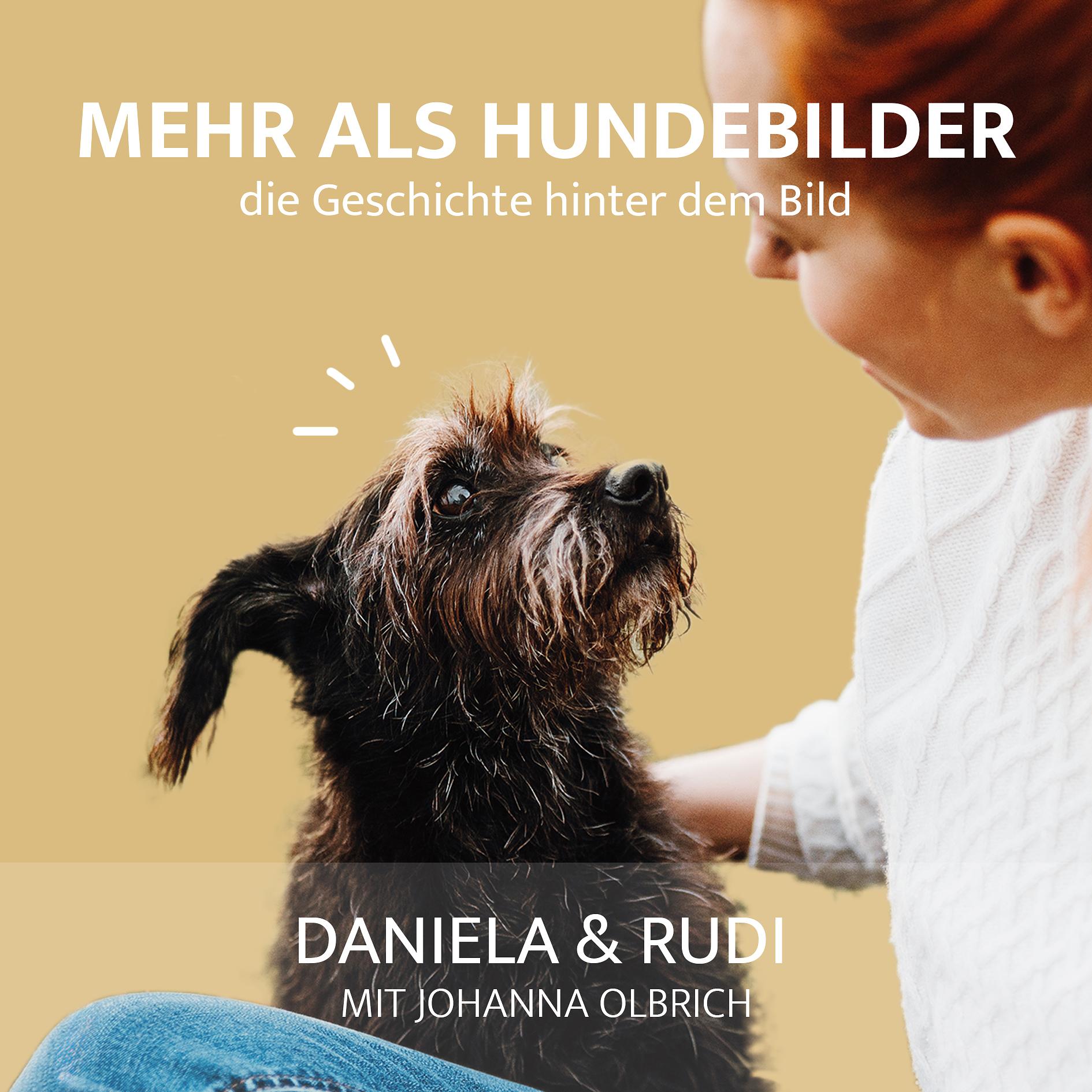 Mehr als Hundebilder - die Geschichte hinter dem Bild