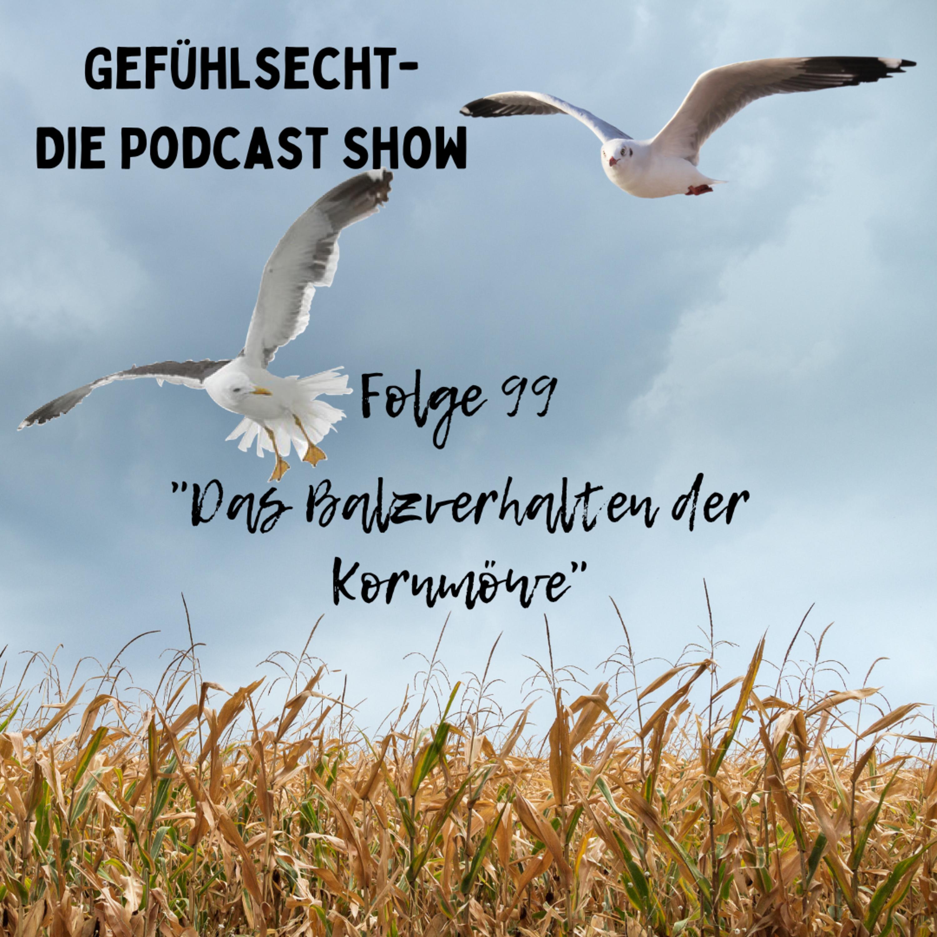Das Balzverhalten der Kornmöwe - Eine Langzeit Studie - Episode 99 episode artwork