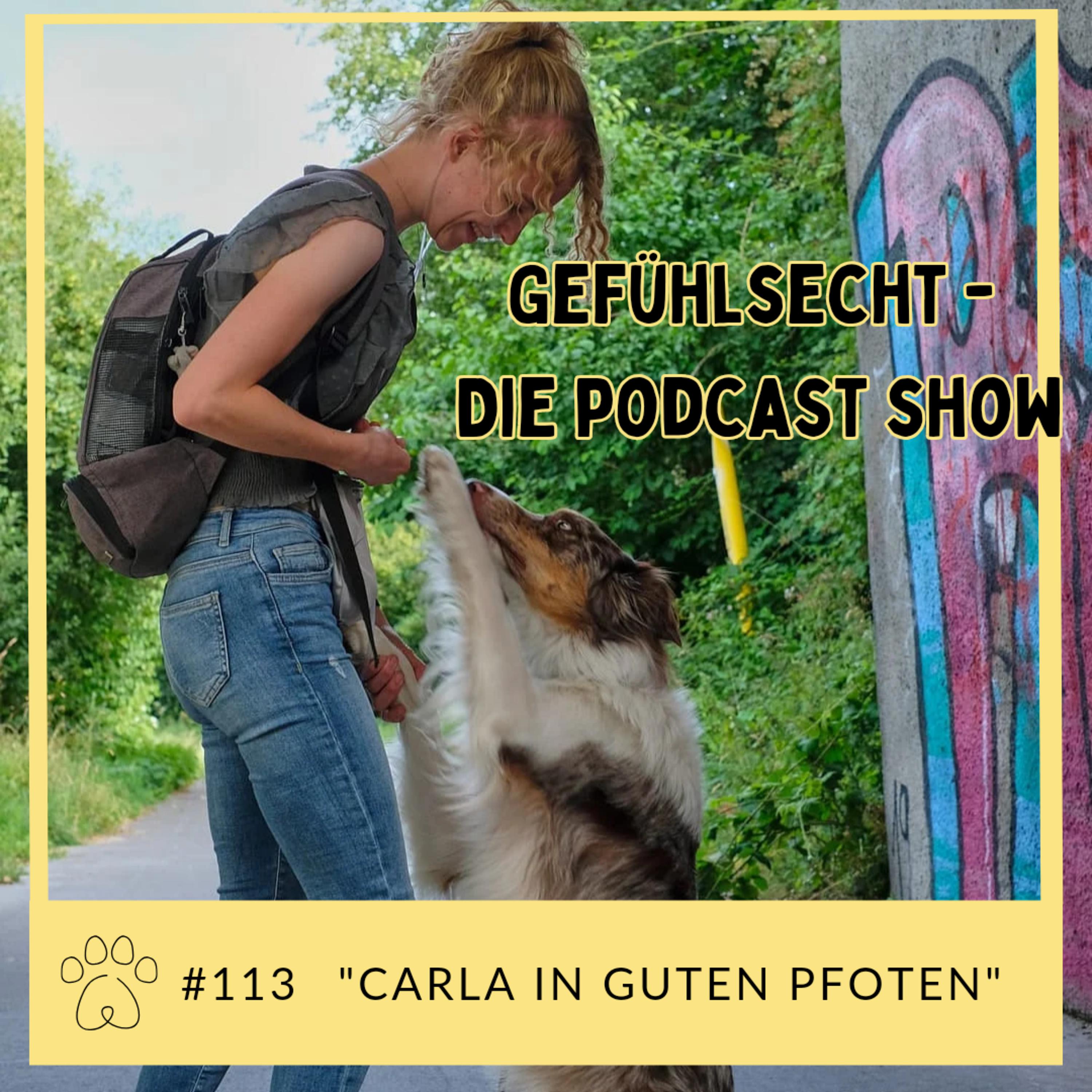 Carla in guten Pfoten: mit Assistenz Hund Jack - Episode 113 episode artwork