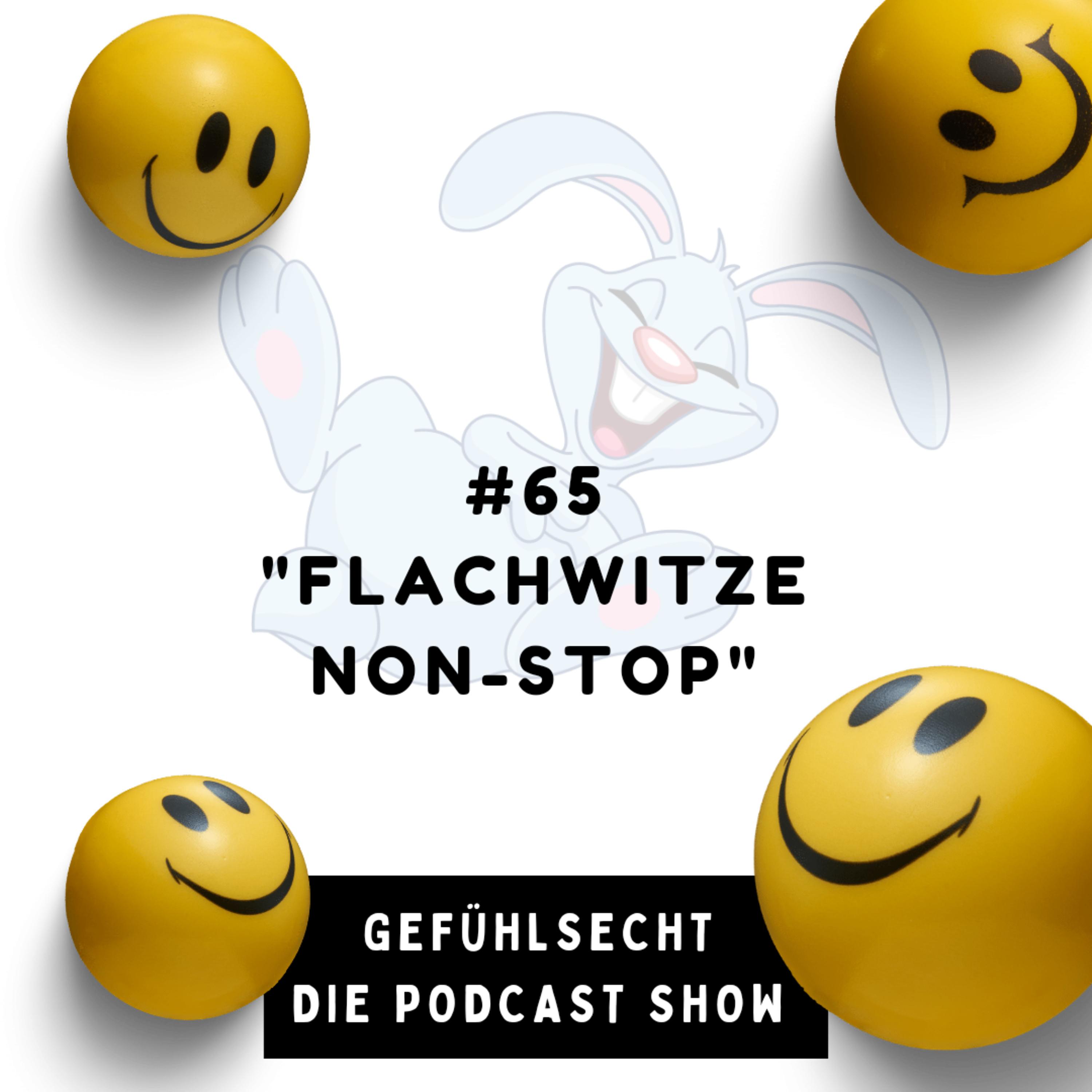 Flachwitze NON-STOP : Achtung!Nicht lustig! - Episode 66 episode artwork
