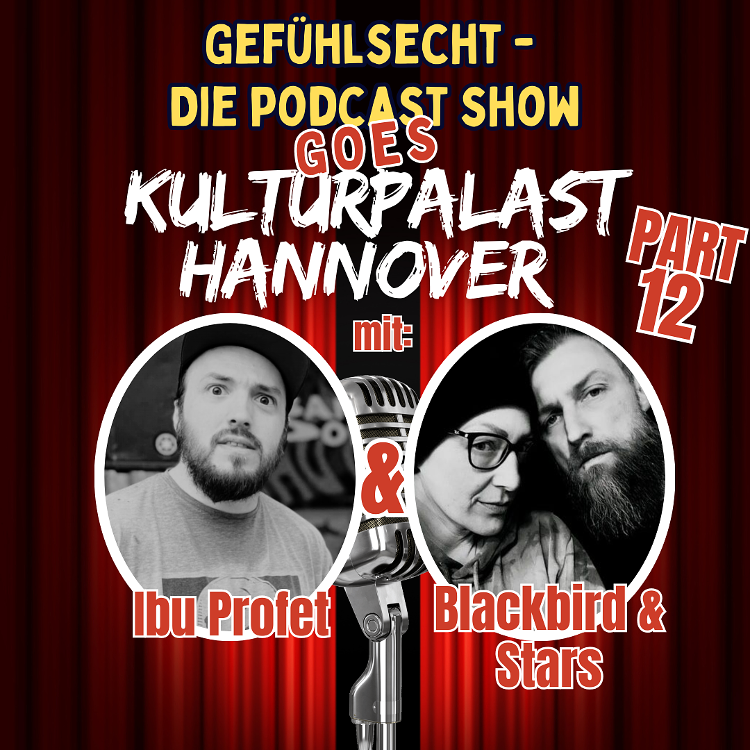 Gefühlsecht goes Kulturpalast: Gespräche über Kunst und musikalische Einflüsse - Bonus 12 episode artwork
