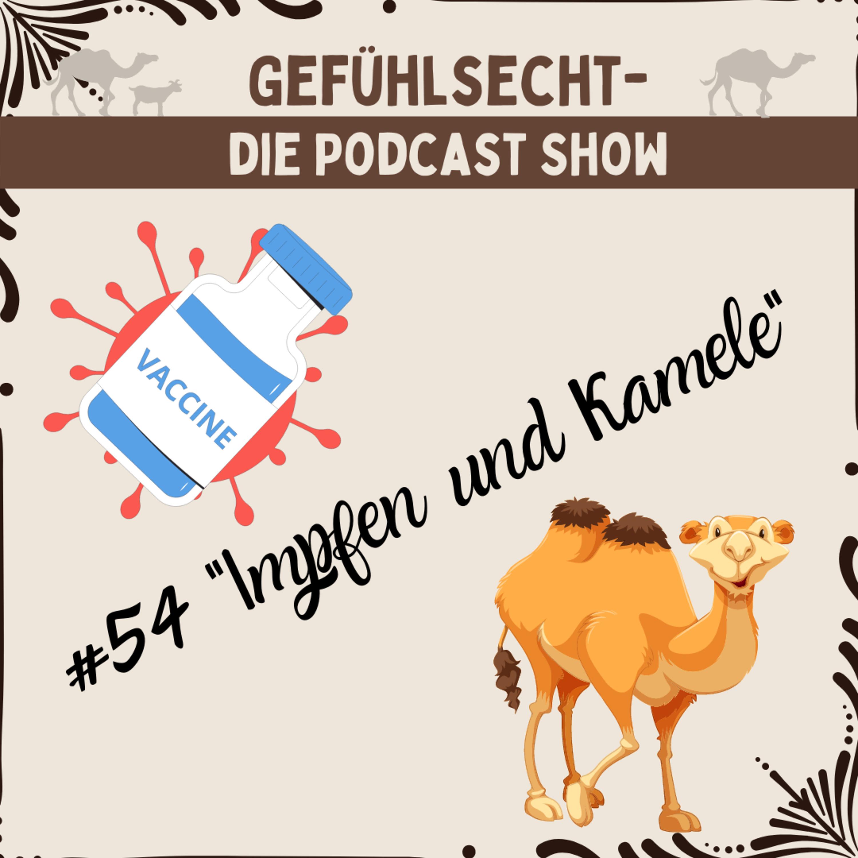 Impfen und Kamele: eine tierisch gute Folge - Episode 54 episode artwork