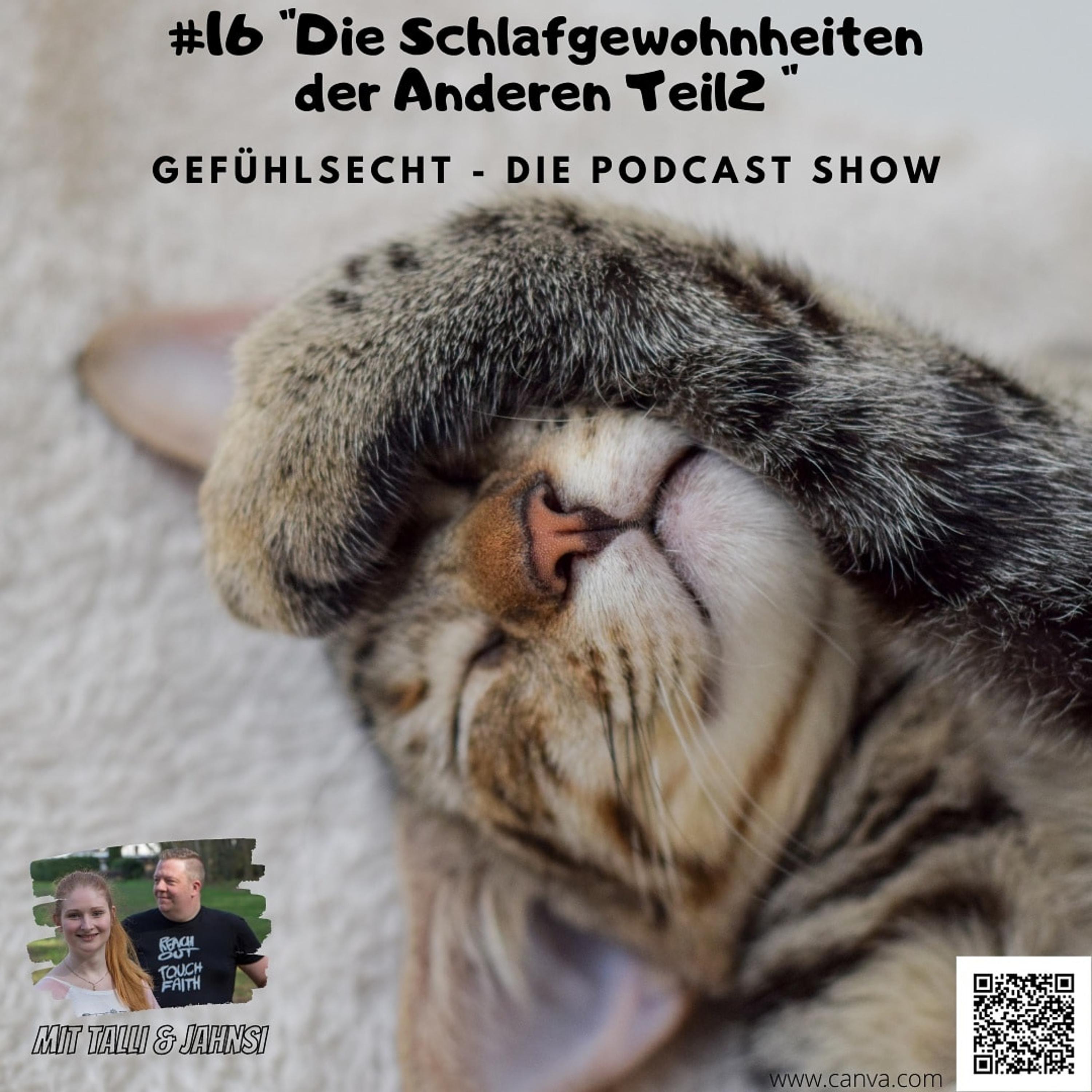 Die Schlafgewohnheiten der Anderen Part 2 - Episode 16 episode artwork