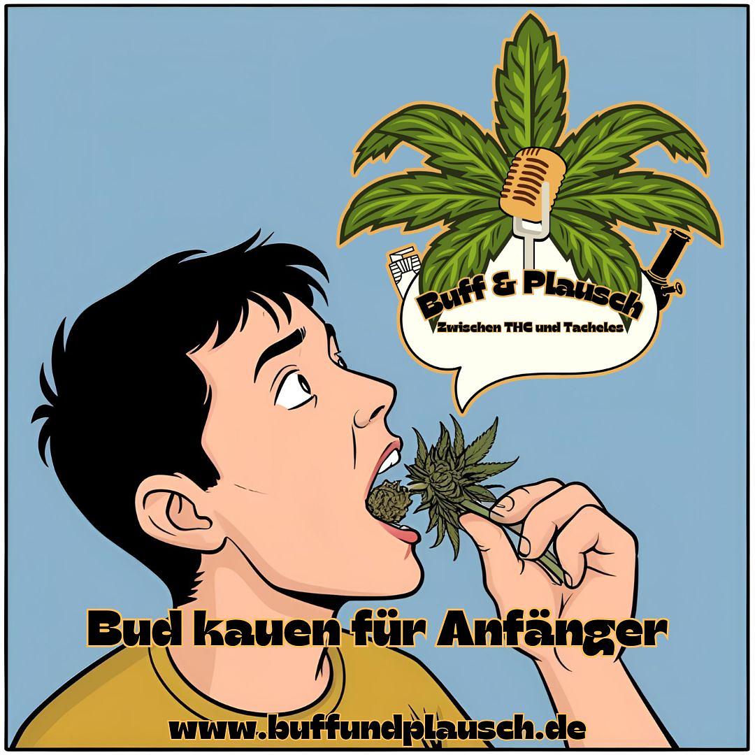 Bud Kauen für Anfänger episode artwork