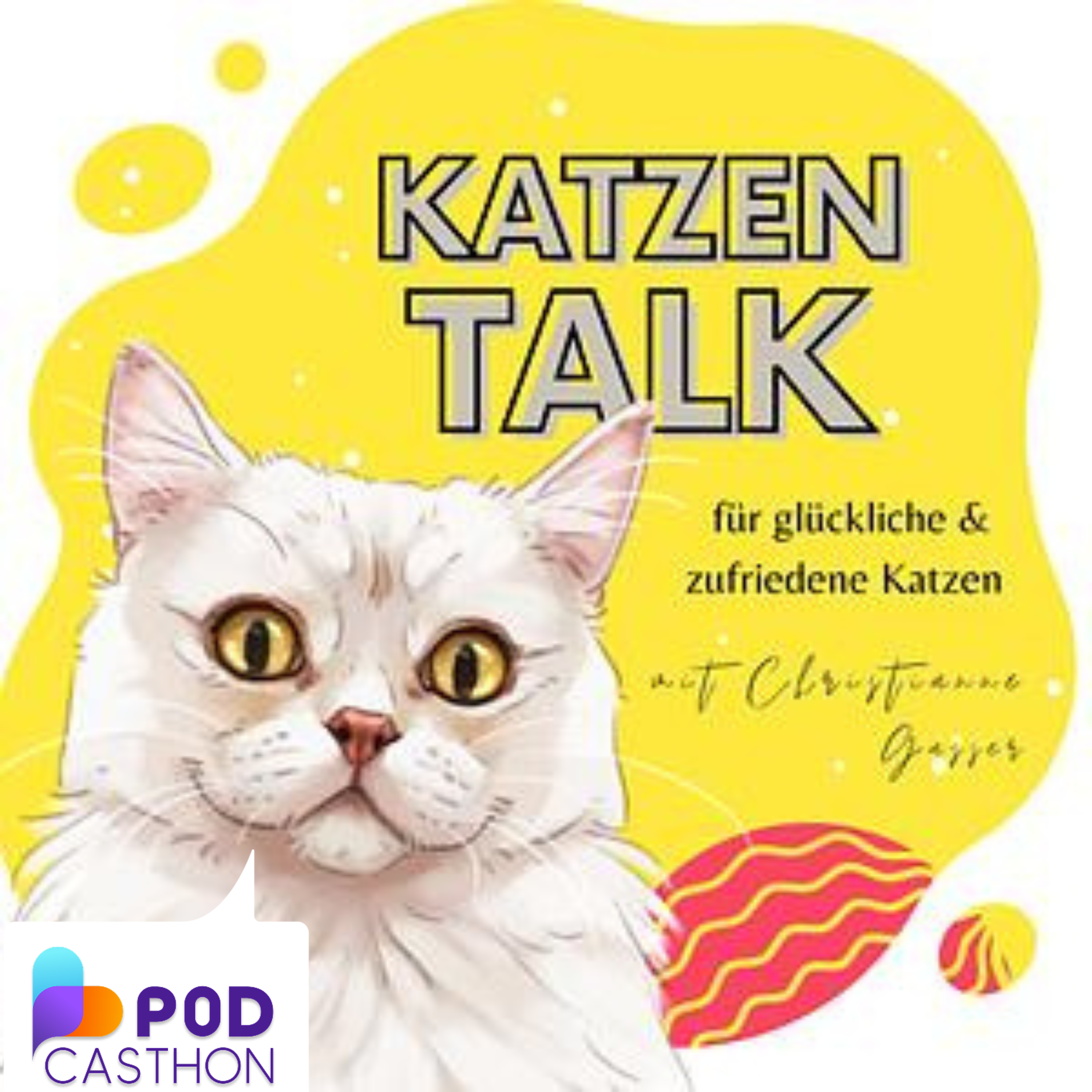 Der Start Button: Deine Katze entscheidet mit Der Start Button: Deine Katze entscheidet mit