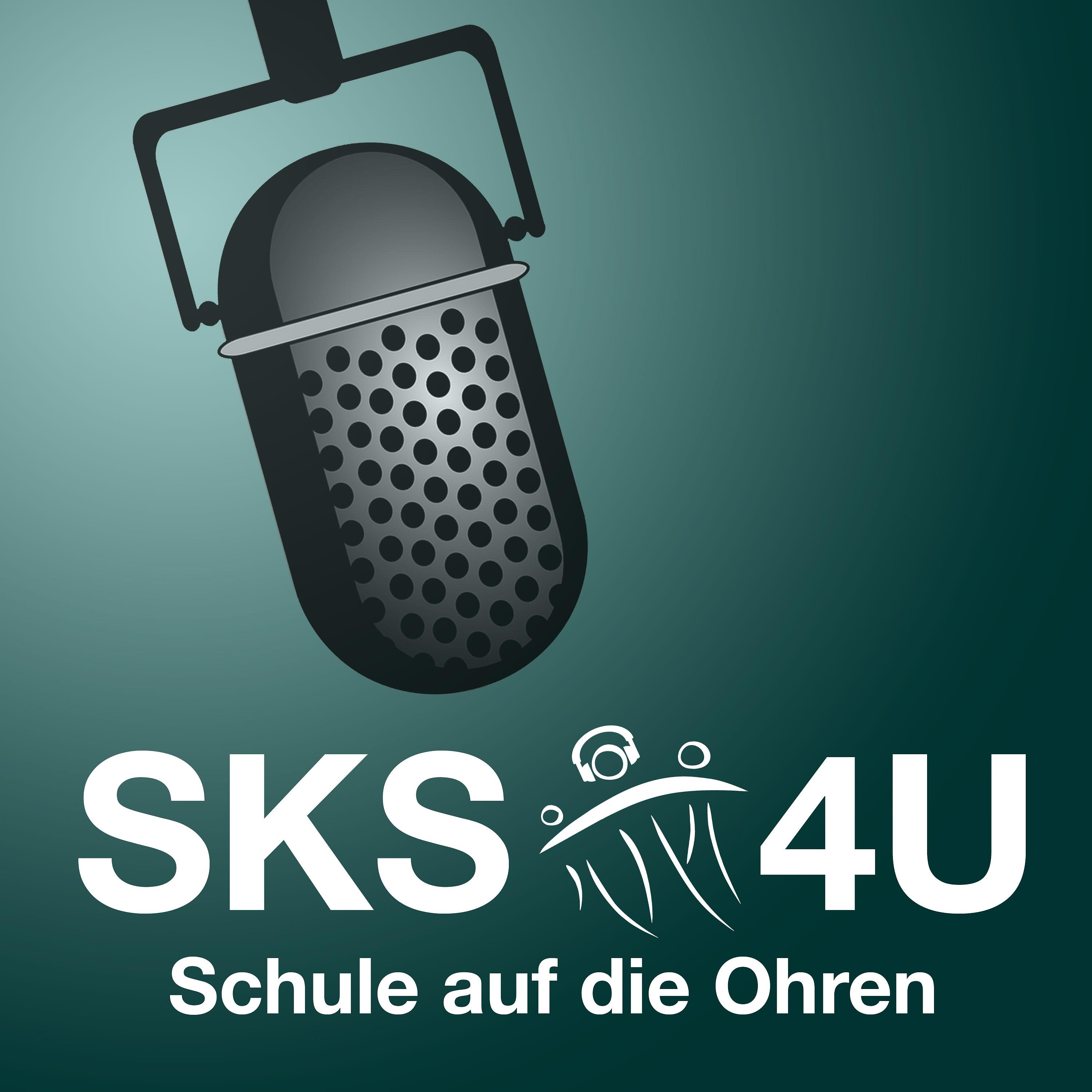 SKS Talk mit UEFA Pro Lizenz-Fußballlehrer Alexander Kiene