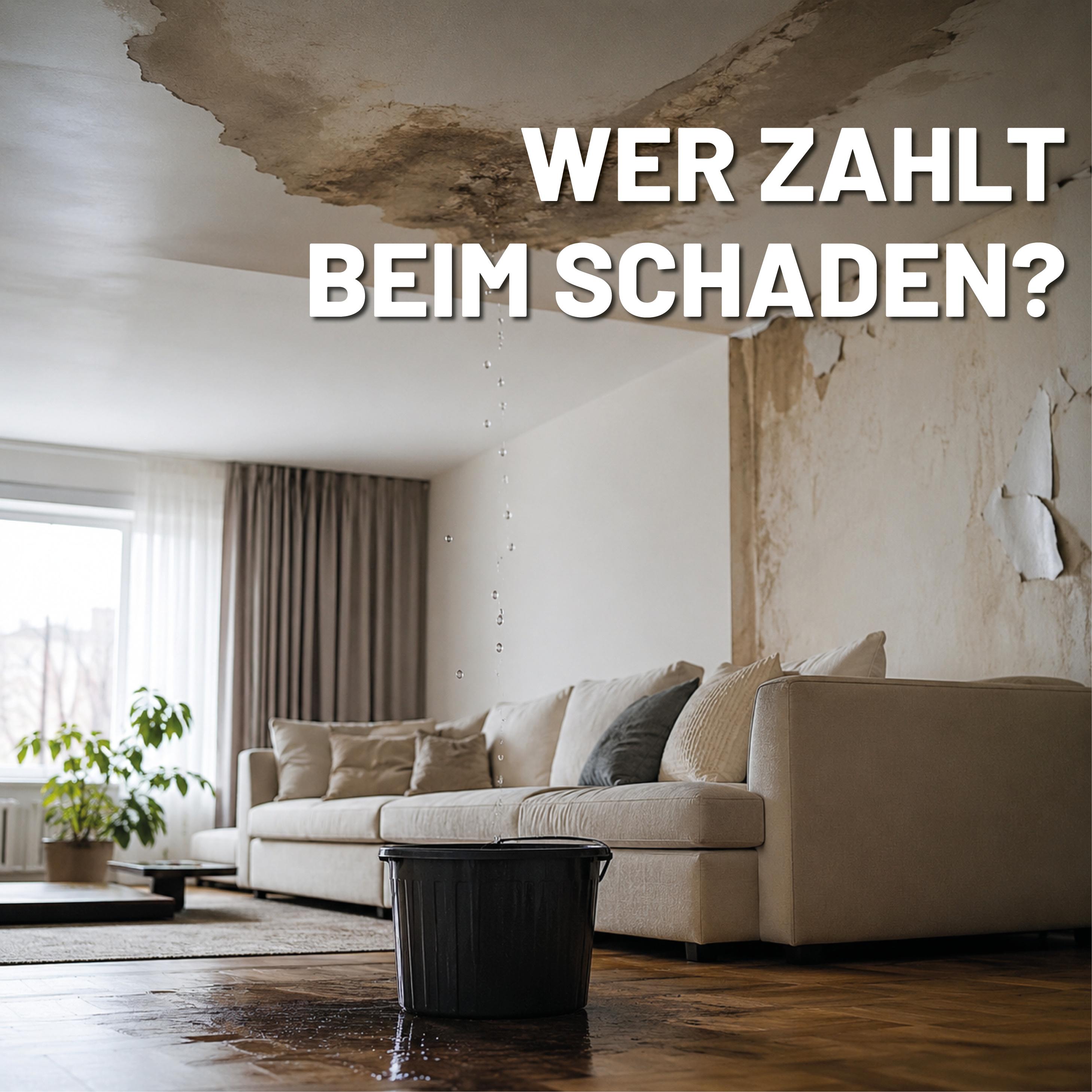 Gebäudeversicherung vs. Eigenheimversicherung – was im Schadensfall wirklich zählt episode artwork