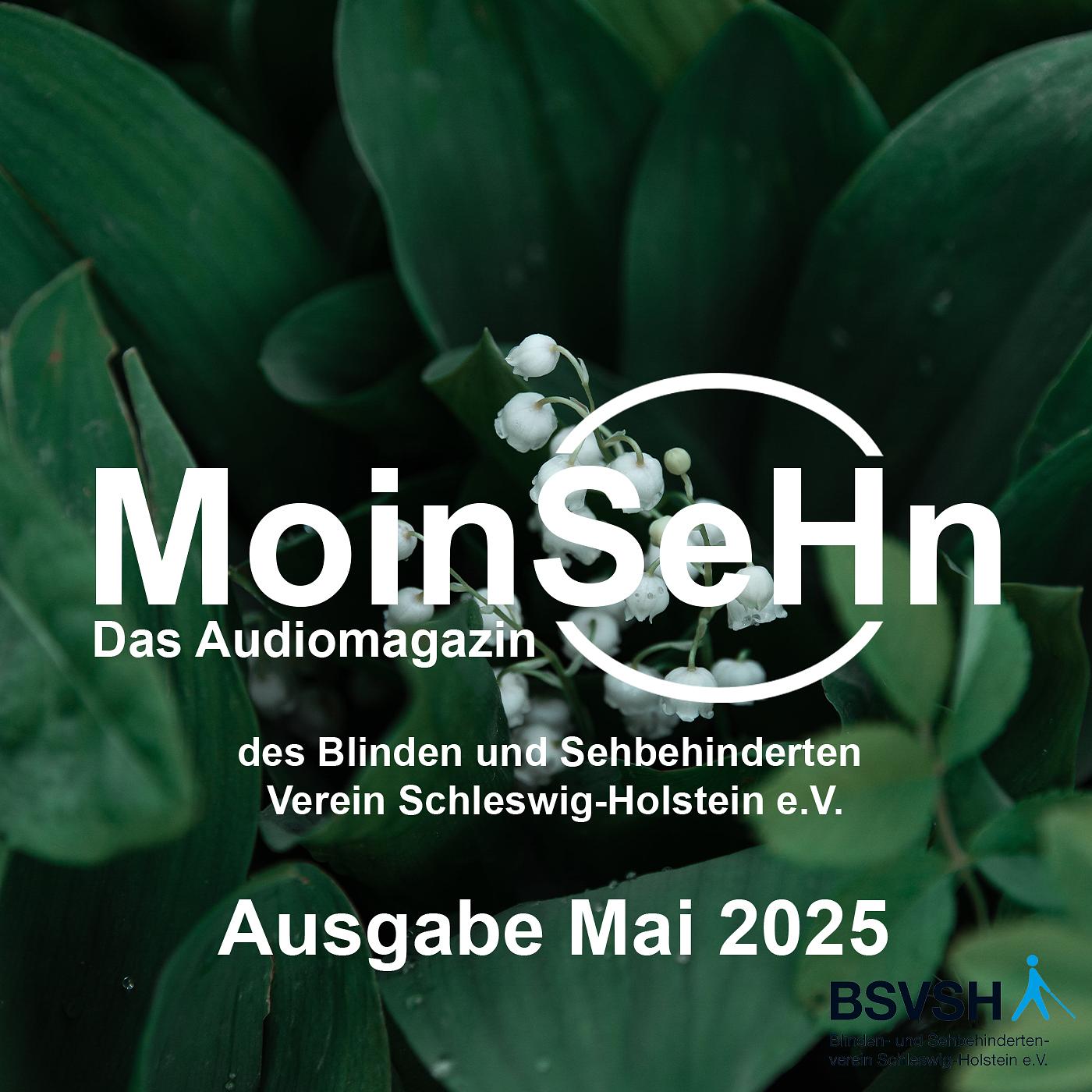 MoinSeHn