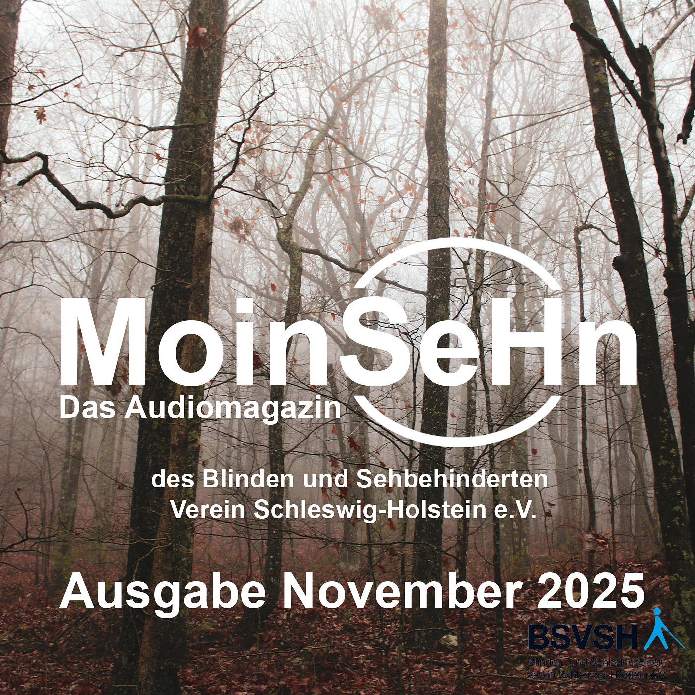 MoinSeHn
