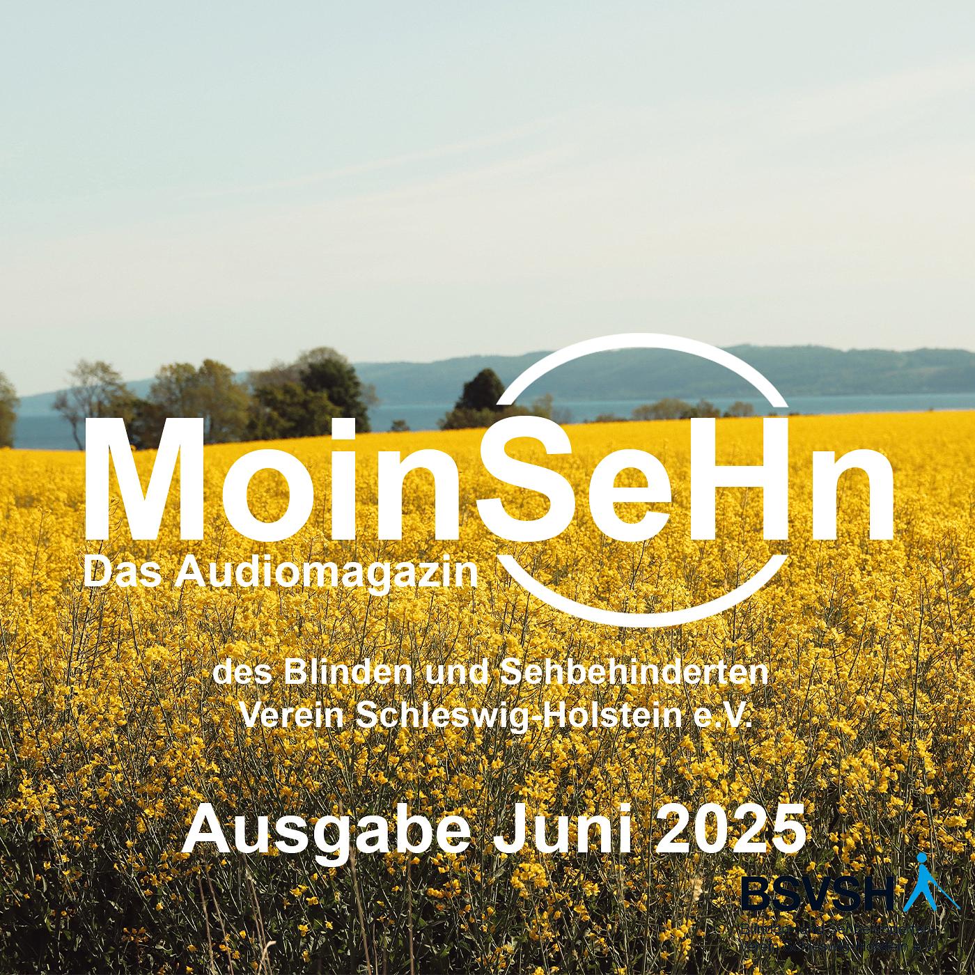 MoinSeHn