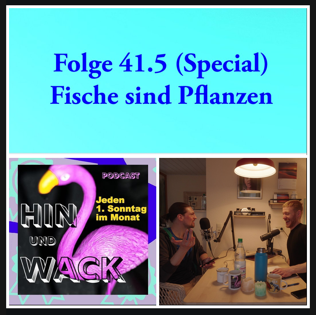 HIN UND WACK