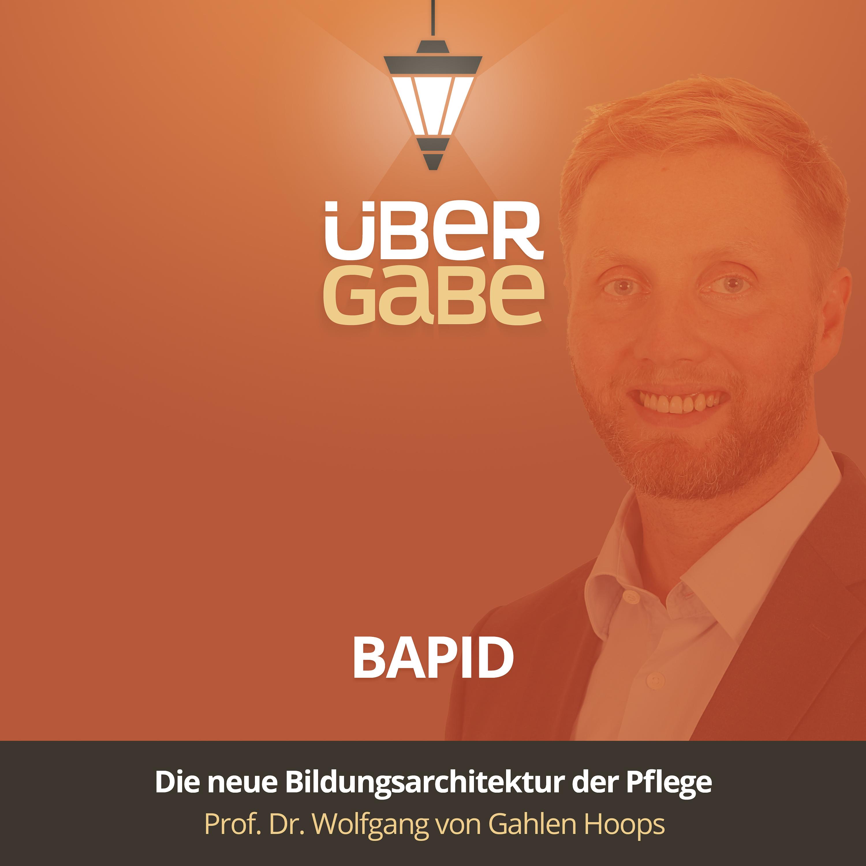 ÜG189 - BAPID - Die neue Bildungsarchitektur der Pflege (Prof. Dr. Wolfgang v. Gahlen Hoops)