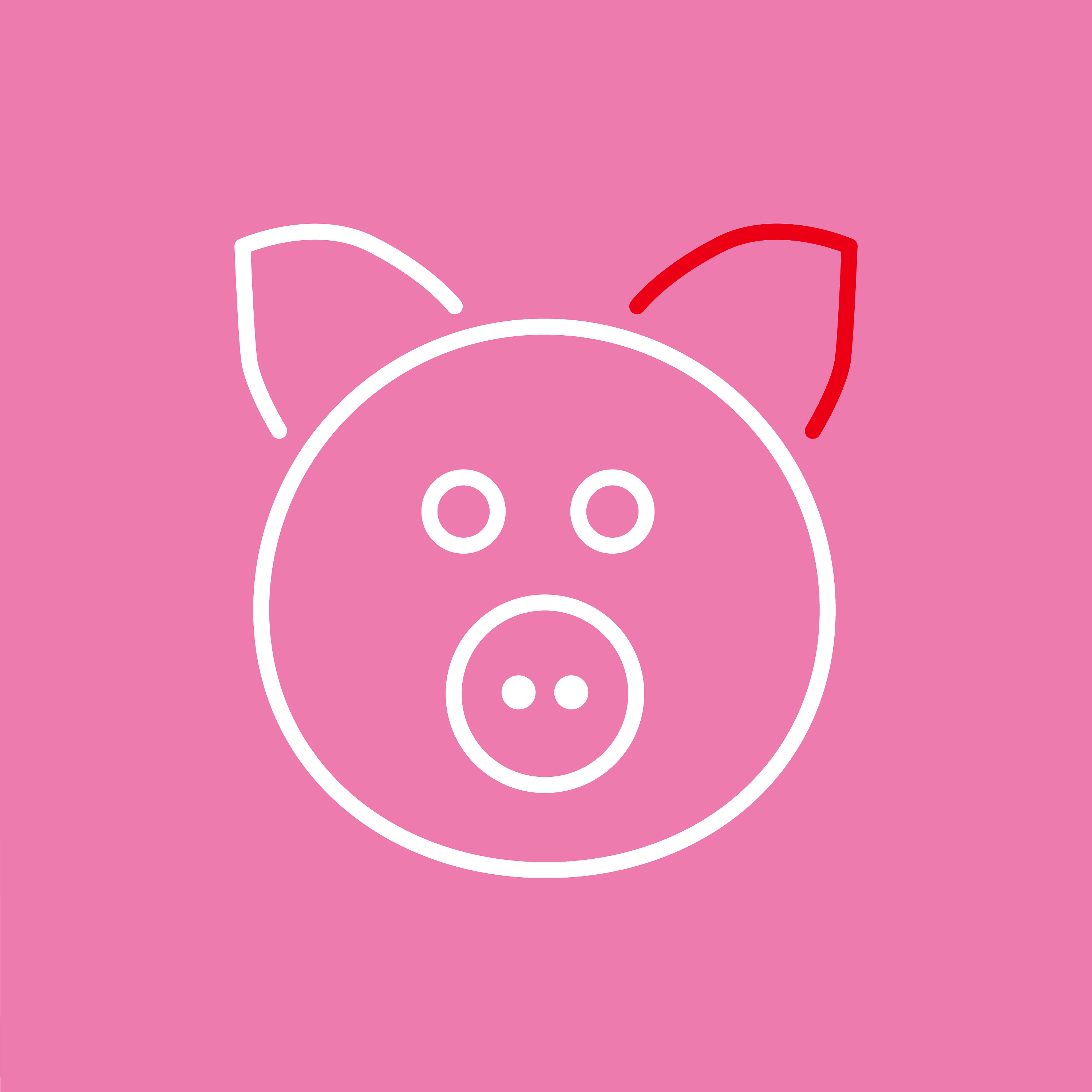 Marzipanschwein und Weihnachtsgrölen in Lübeck Marzipanschwein und Weihnachtsgrölen in Lübeck