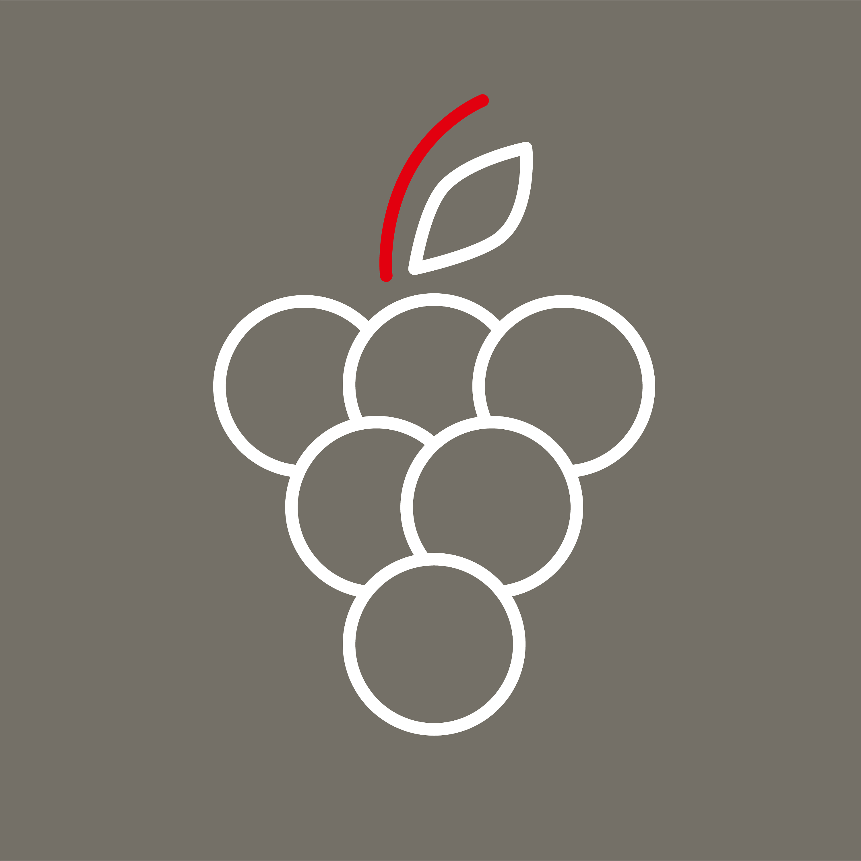 Fürstenklo und Flitzebogen in Burg Stargard