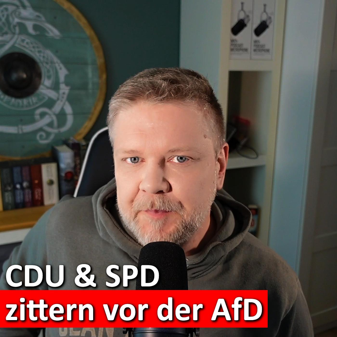 #161: Kettensägen, Angst & Futtertröge – Das wahre Gesicht von CDU & SPD episode artwork
