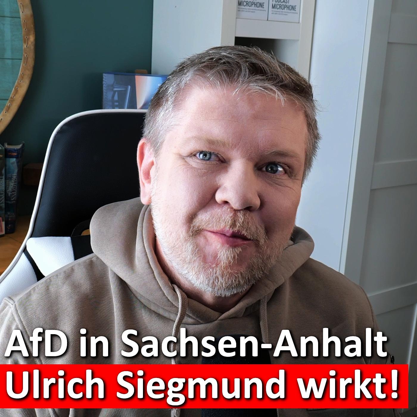 #195: AfD bei 39 % in Sachsen-Anhalt – klare Nummer 1 vor der CDU! episode artwork