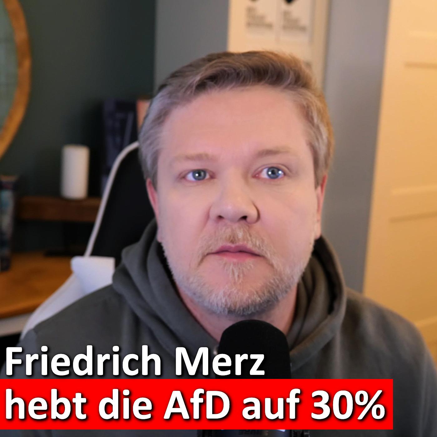 #217: Friedrich Merz: Vom AfD-Bekämpfer zum AfD-Helfer? episode artwork