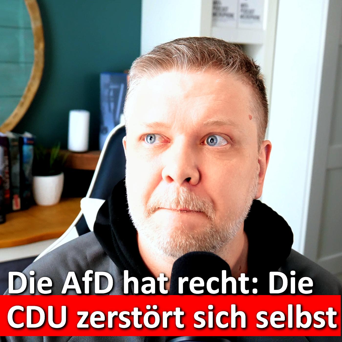 #239: Das Ende der Staatspartei: CDU verliert das Fundament ihrer Macht episode artwork