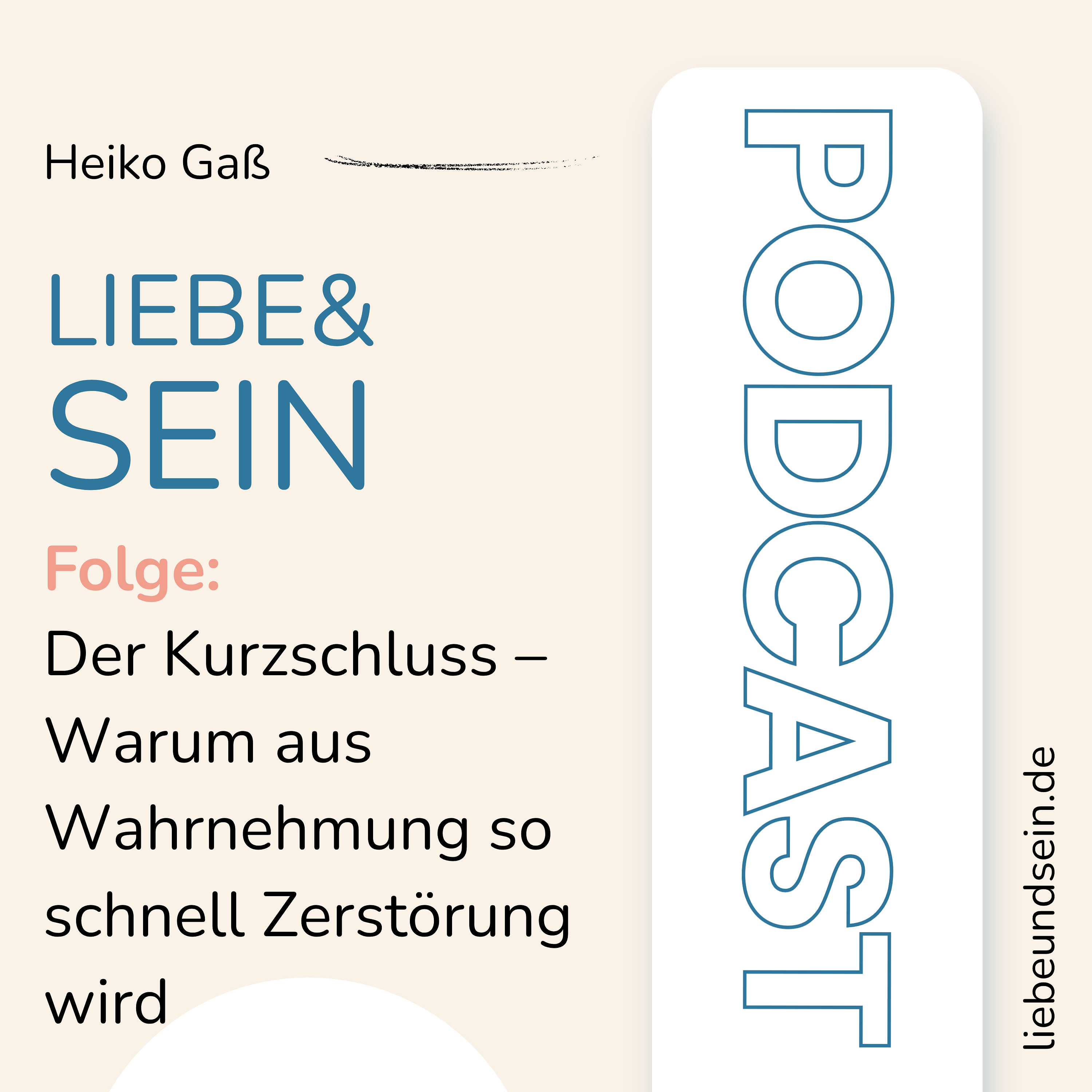 Der Kurzschluss – Warum aus Wahrnehmung so schnell Zerstörung wird episode artwork