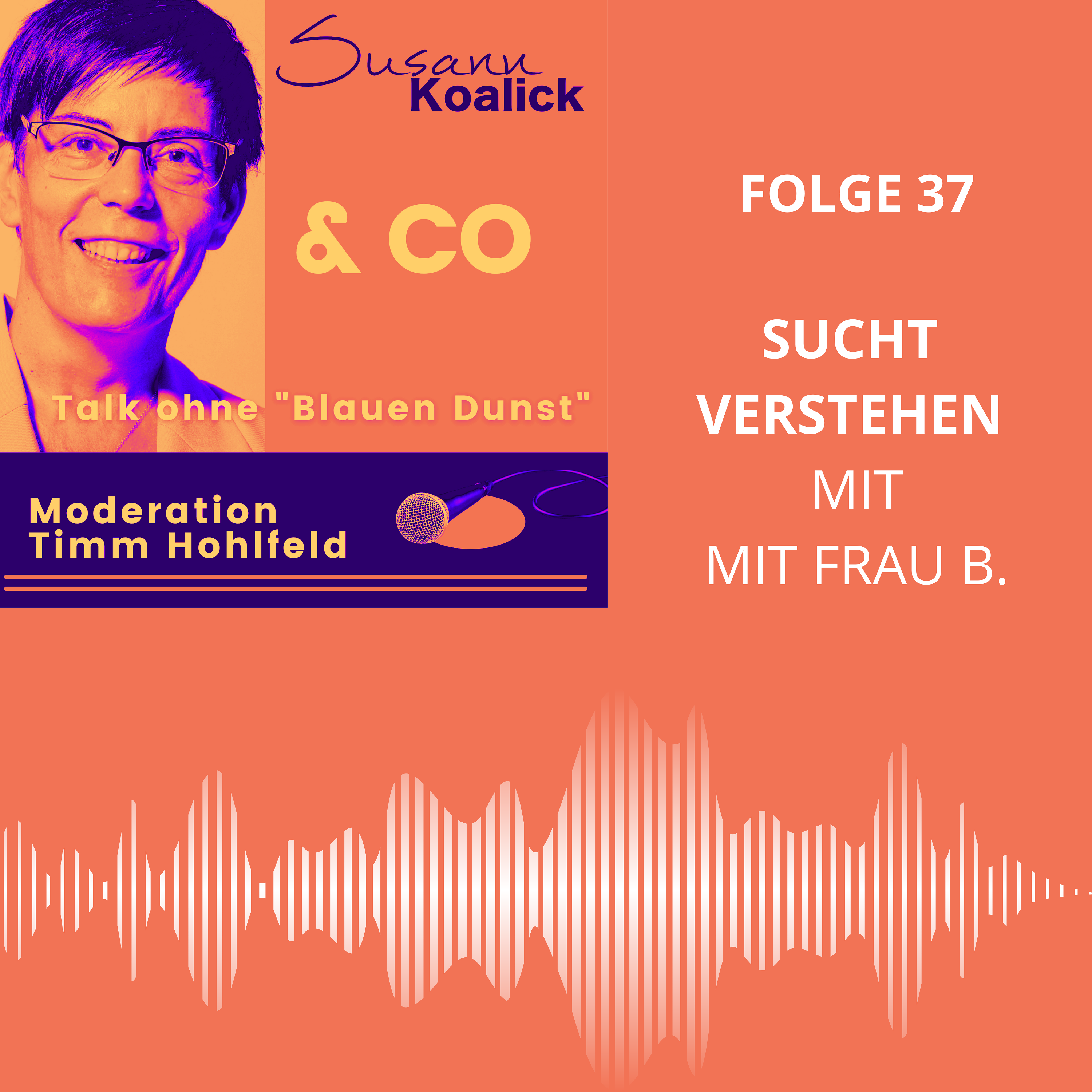 Sucht Verstehen episode artwork