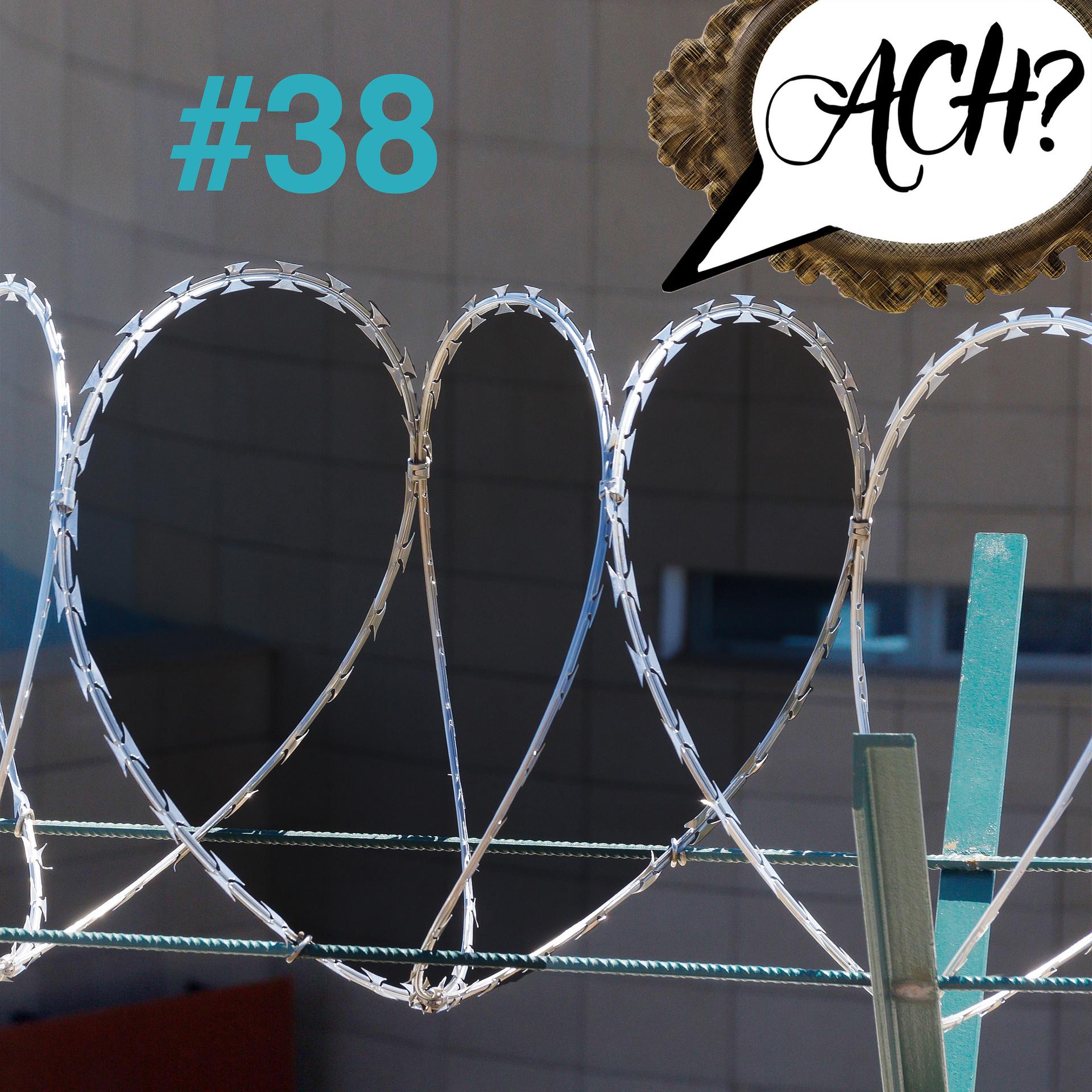 38 – Horace Greasley pflückt 200 Mal heimlich eine Rose episode artwork