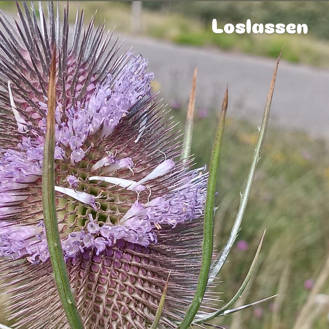 Loslassen