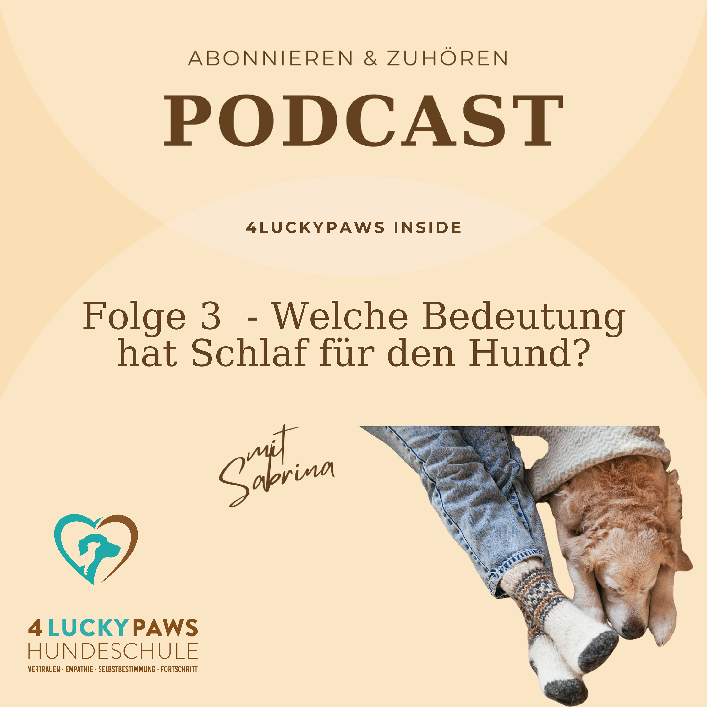 Folge 3 - Welche Bedeutung hat Schlaf für den Hund episode artwork