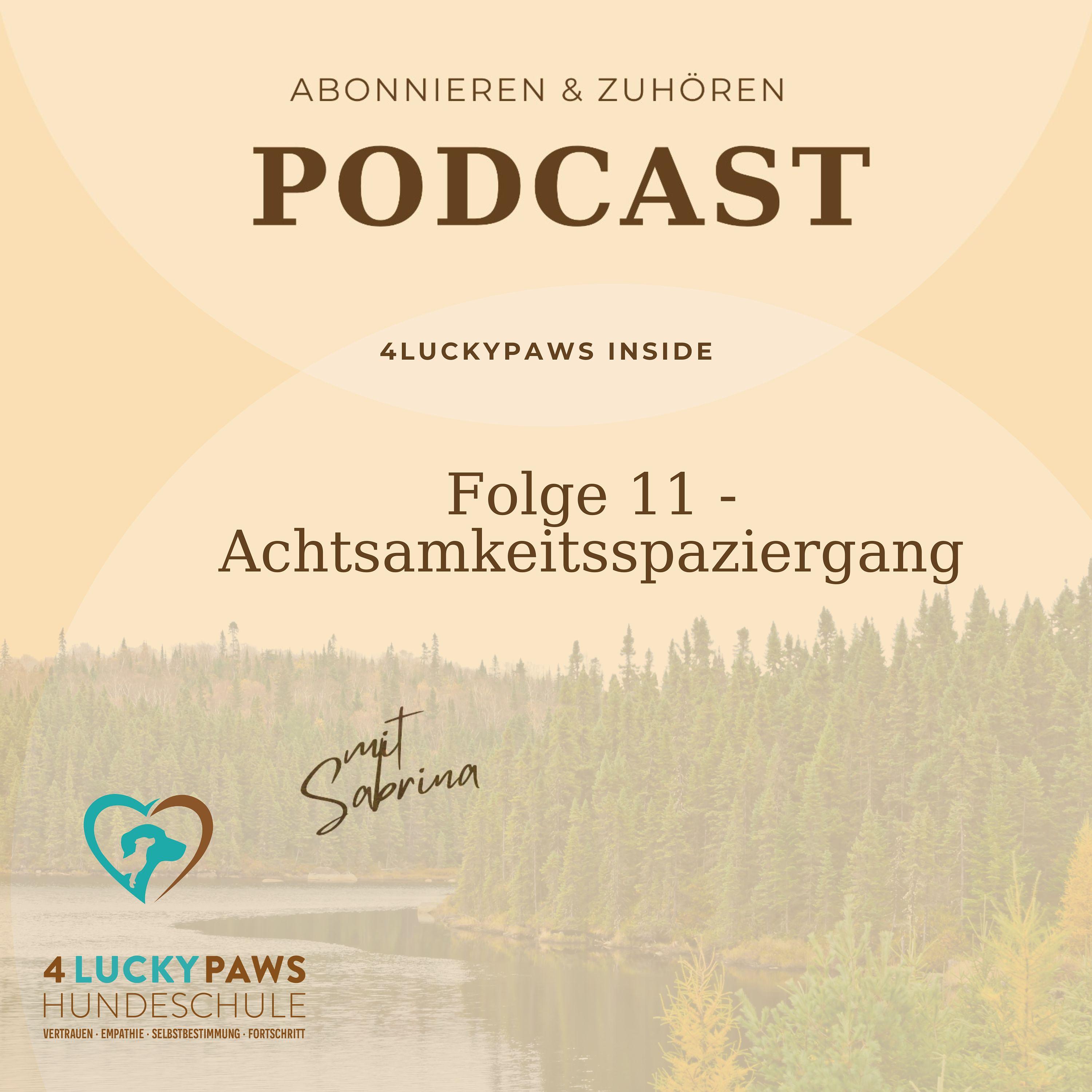 Folge 11 - Achtsamkeitsspaziergang episode artwork
