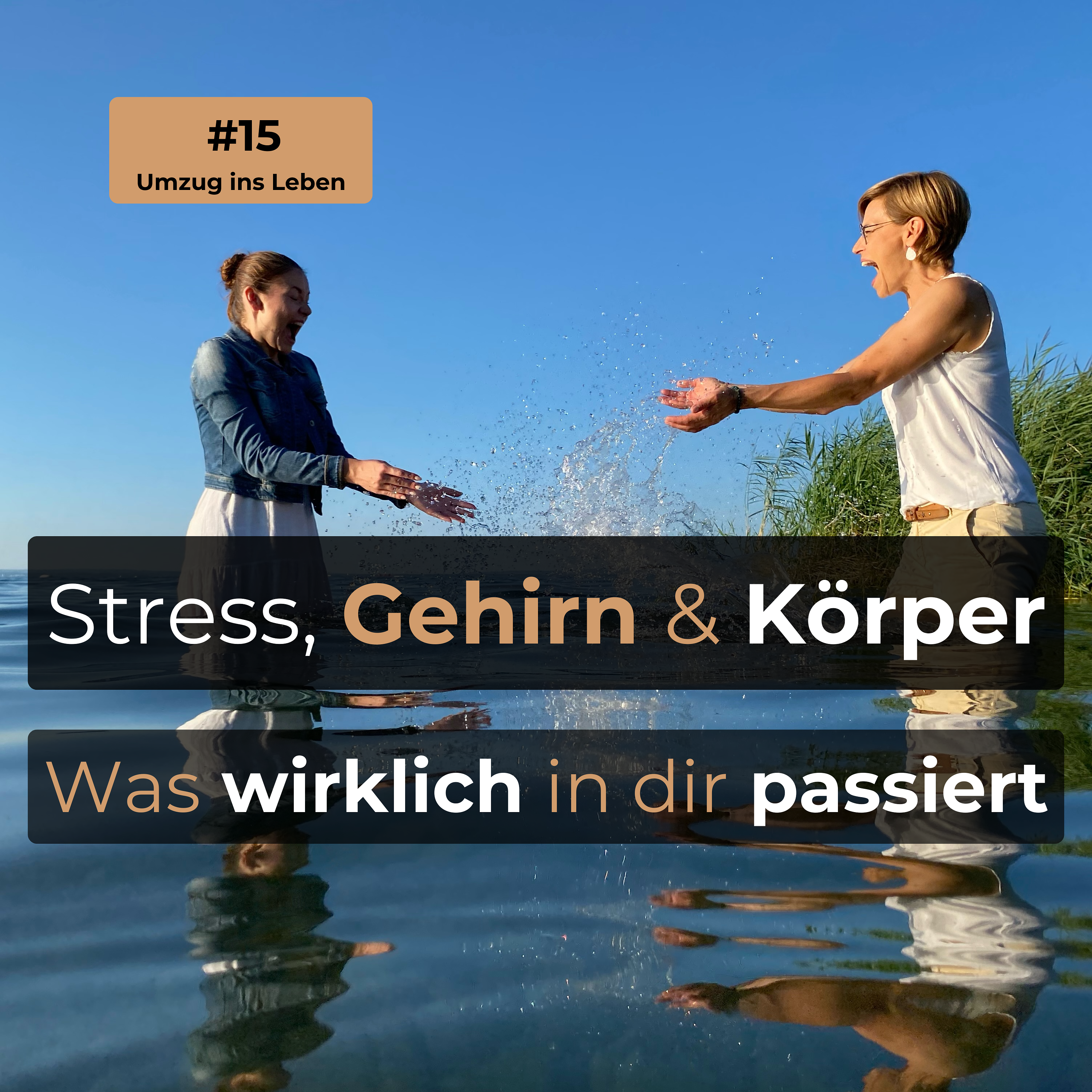 #15 Stress, Gehirn & Körper - Was wirklich in dir passiert episode artwork
