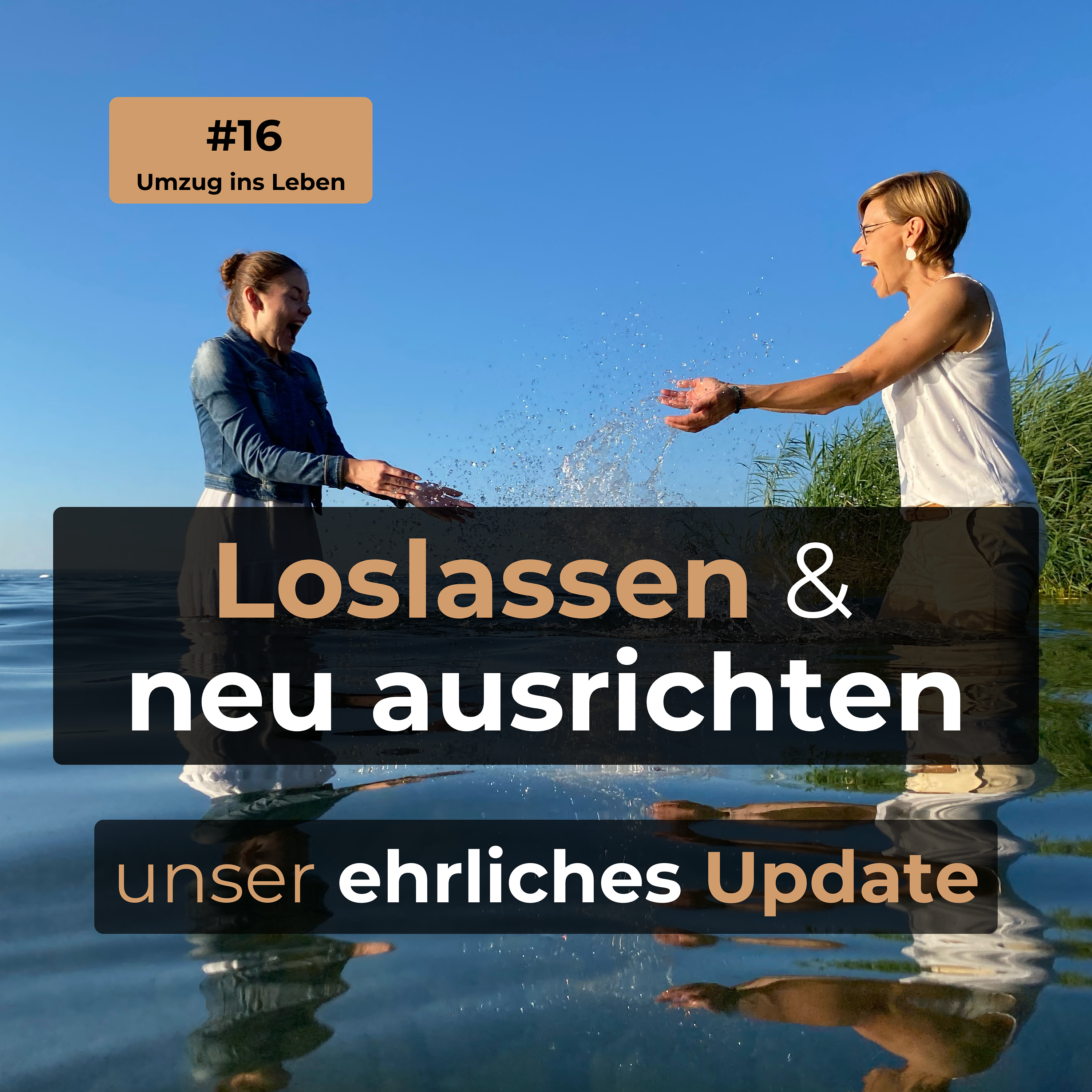 #16 Loslassen & neu ausrichten episode artwork
